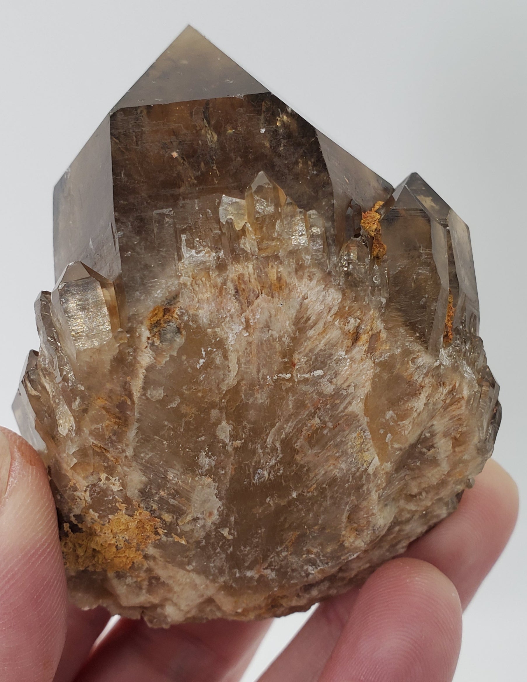 Smoky Citrine, Congo