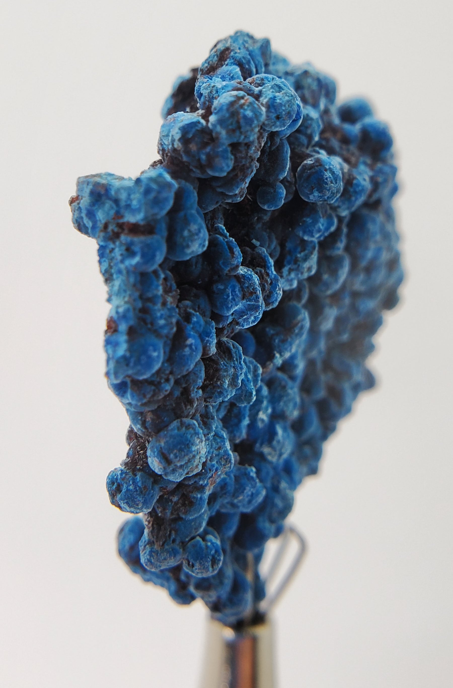 Shattuckite, Mexico