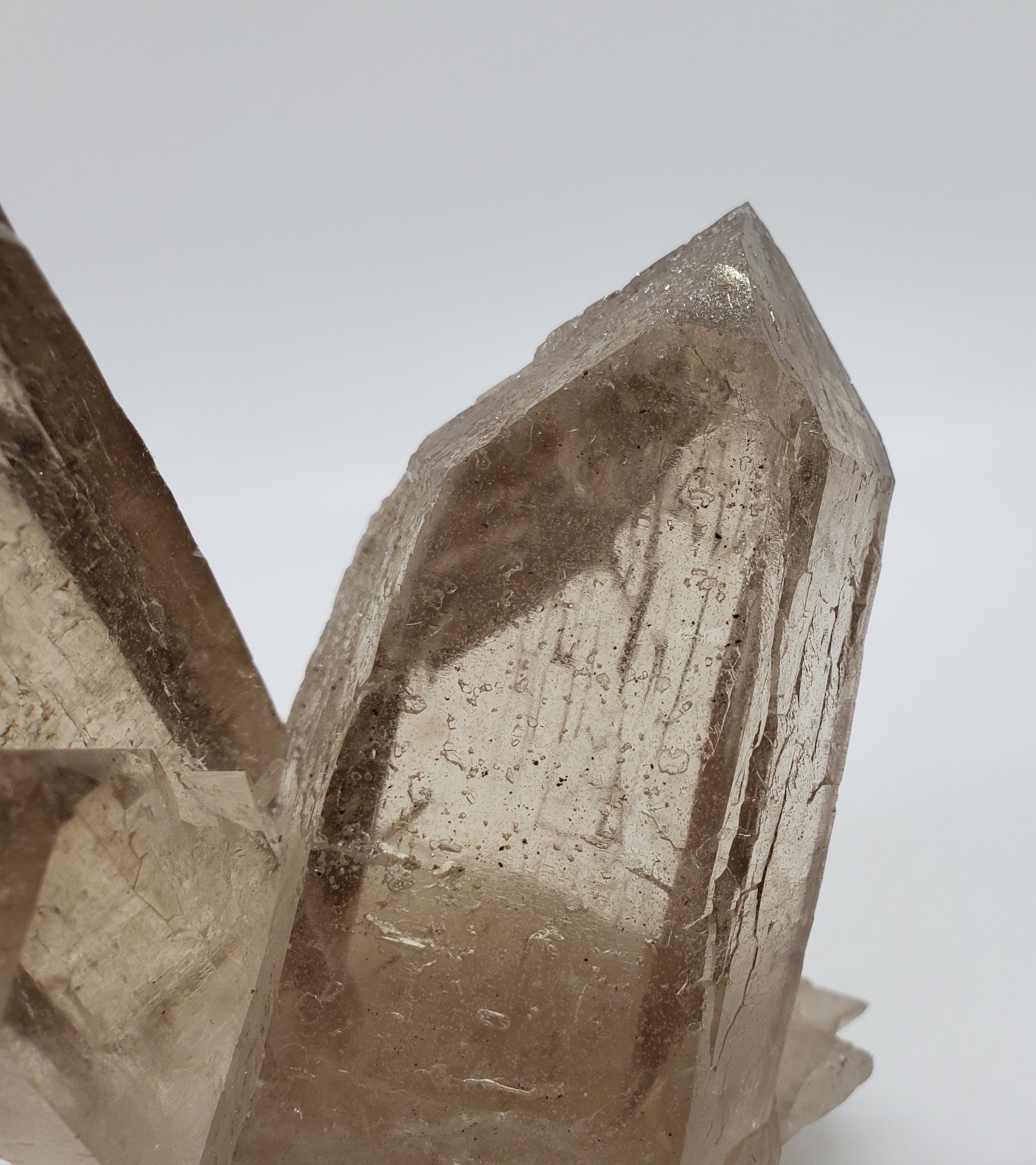 Smoky Quartz,  Brasil