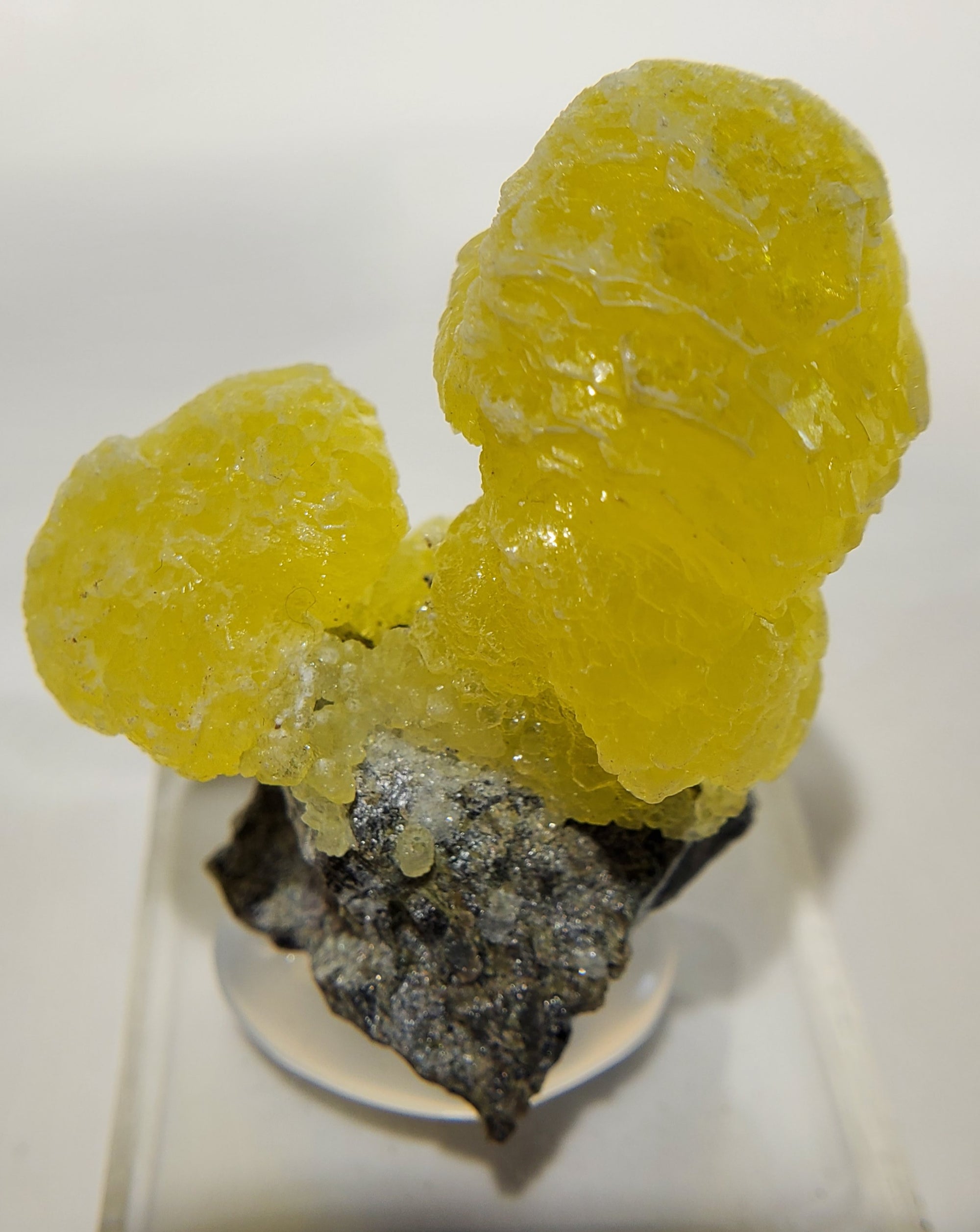 Brucite (Pakistan)