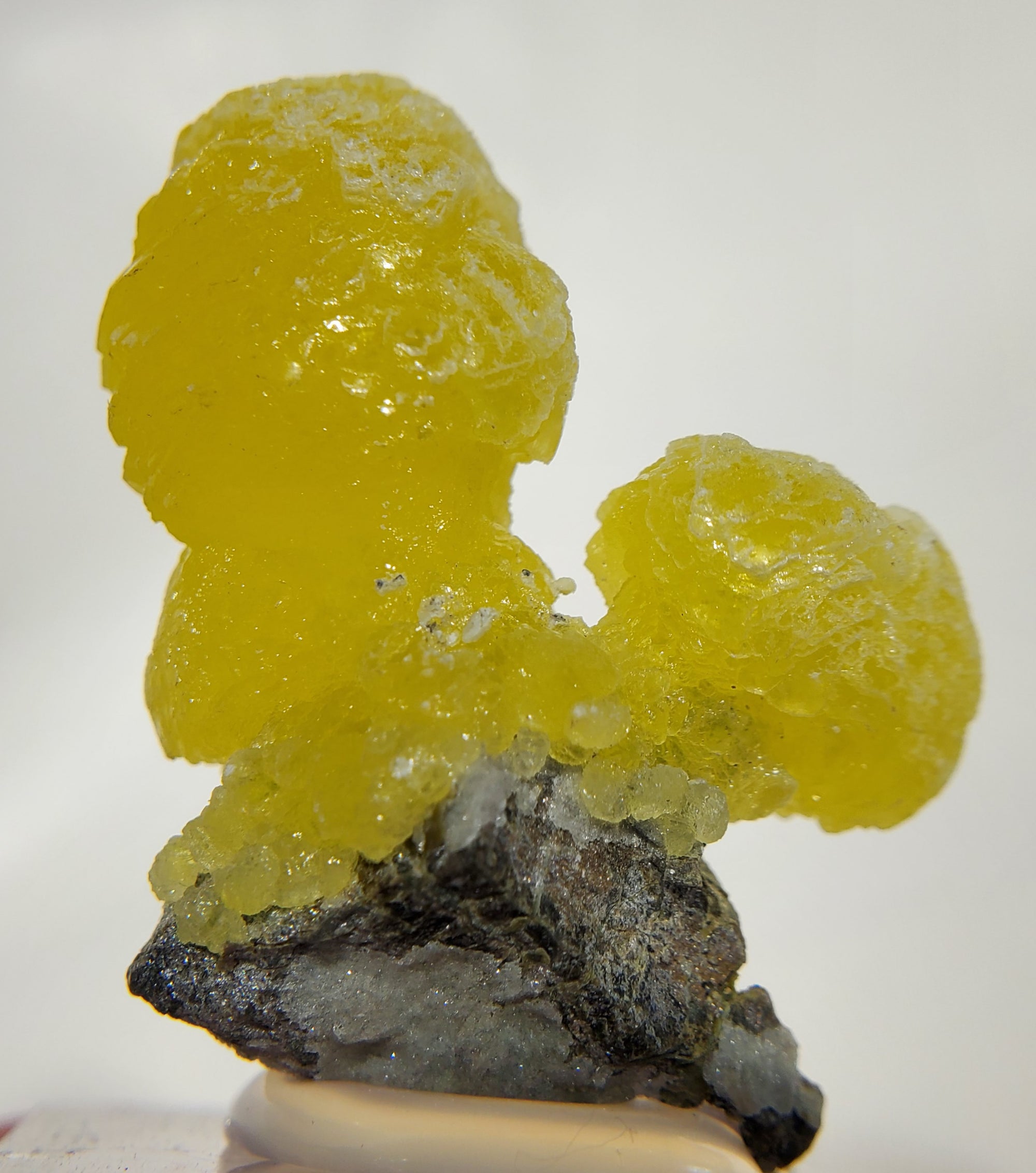 Brucite (Pakistan)