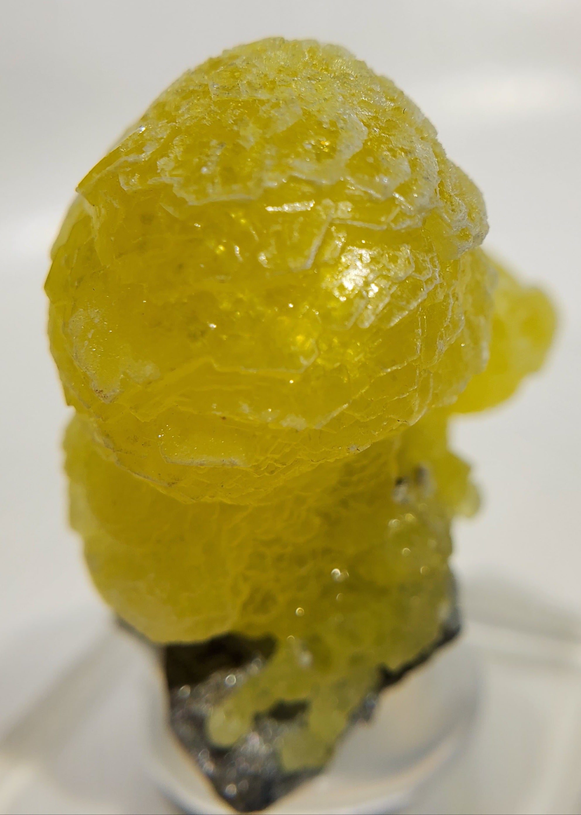 Brucite (Pakistan)