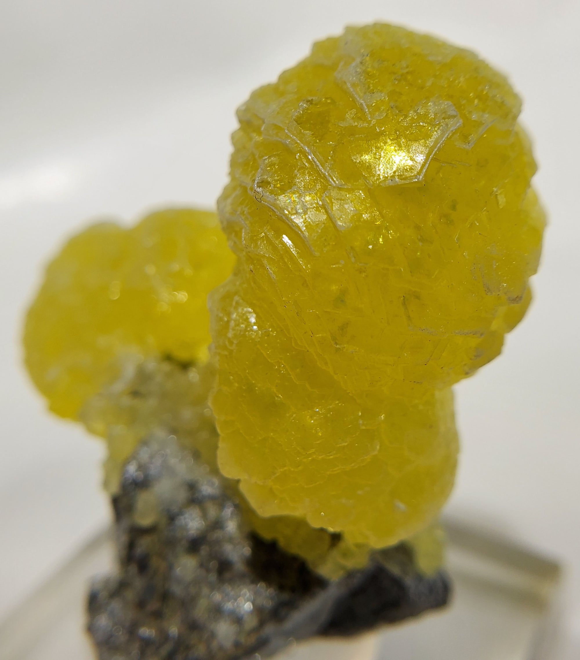 Brucite (Pakistan)