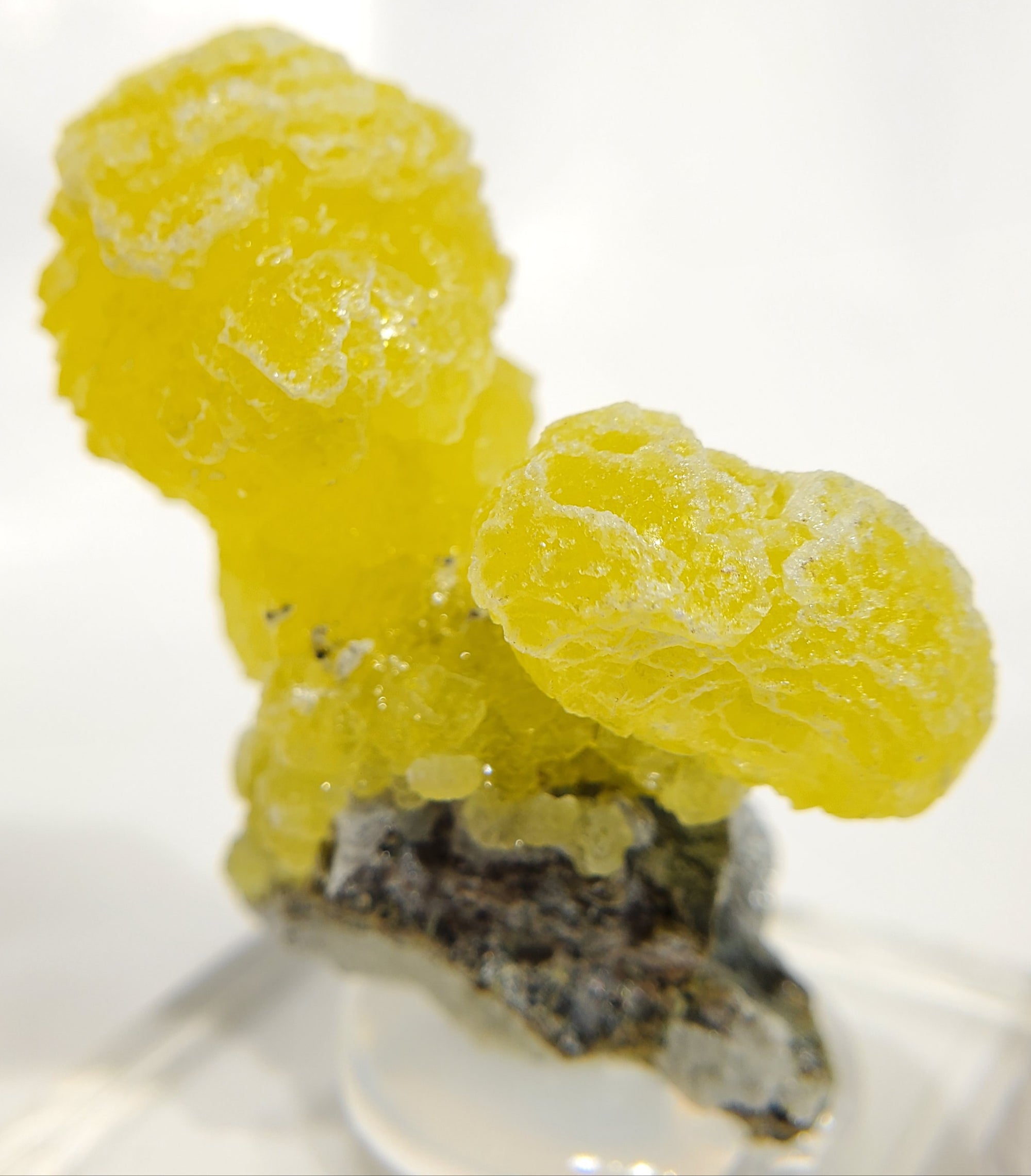 Brucite (Pakistan)