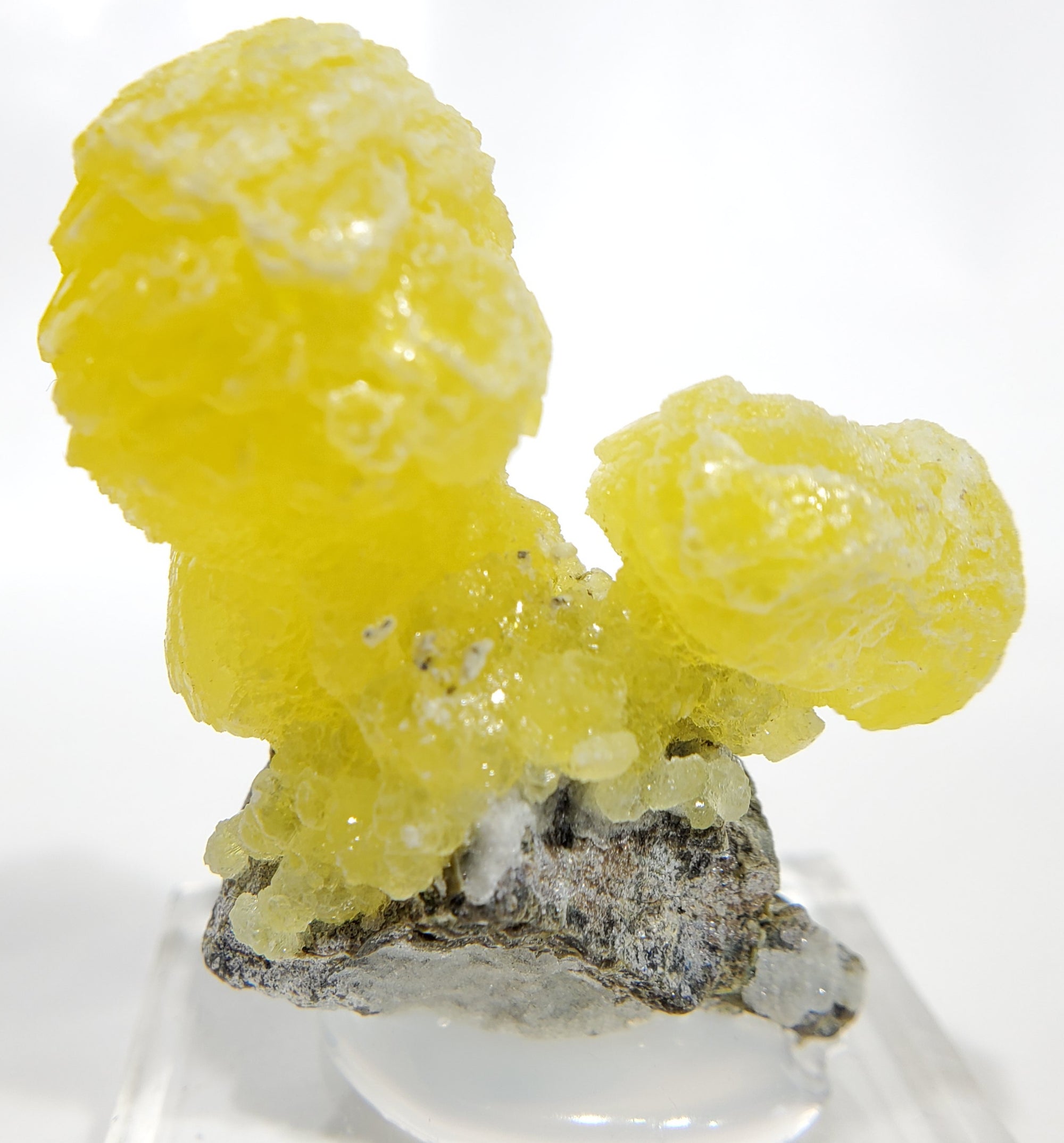 Brucite (Pakistan)