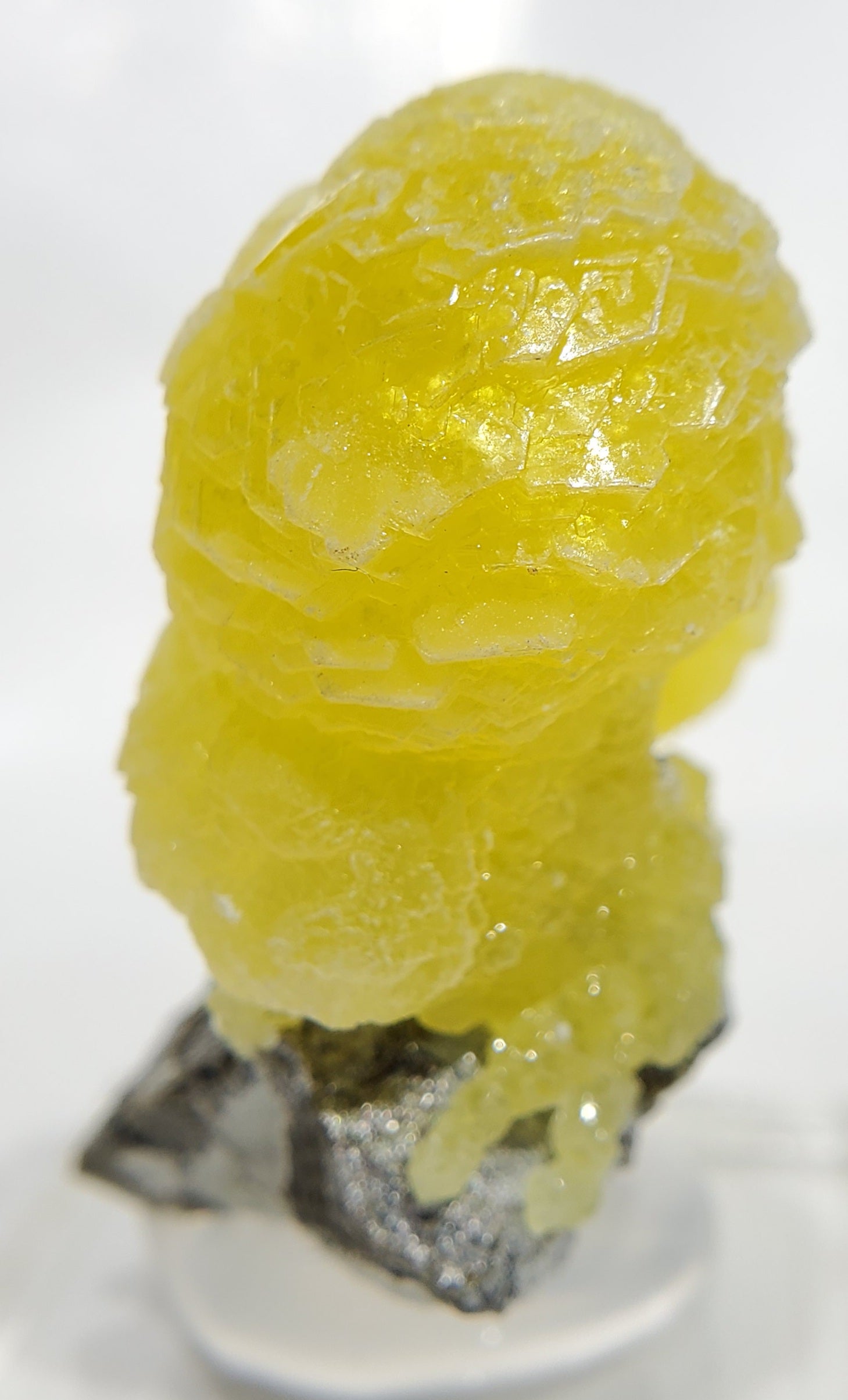 Brucite (Pakistan)