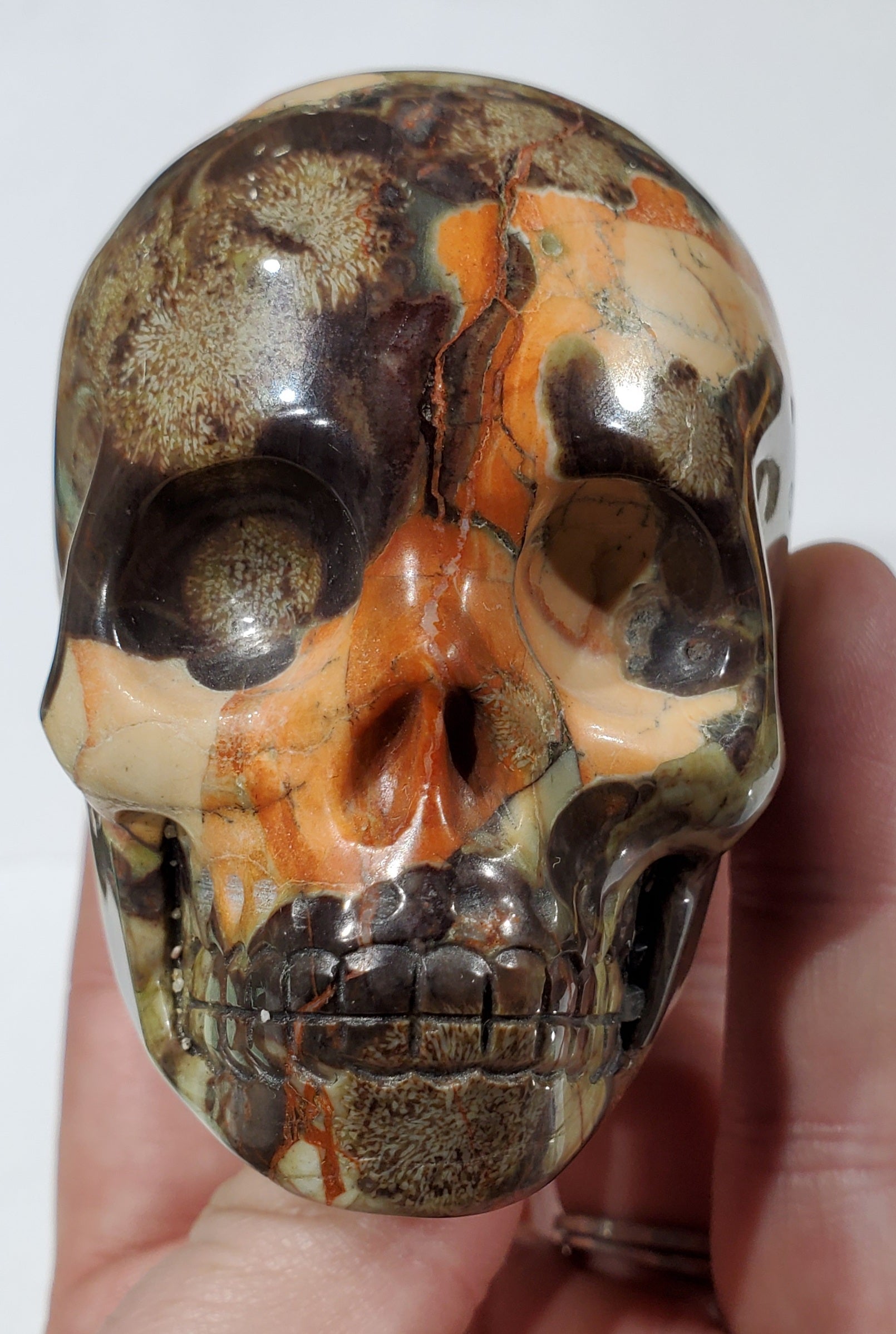 Jasper Skull