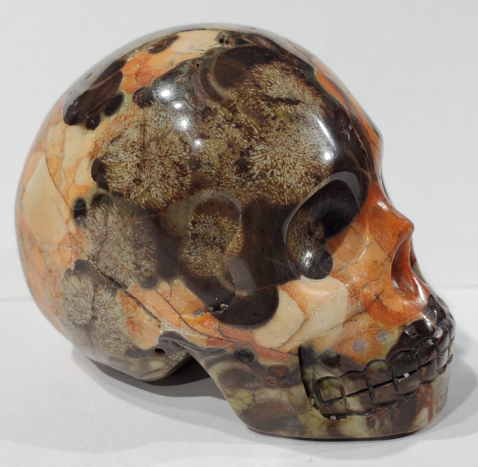 Jasper Skull