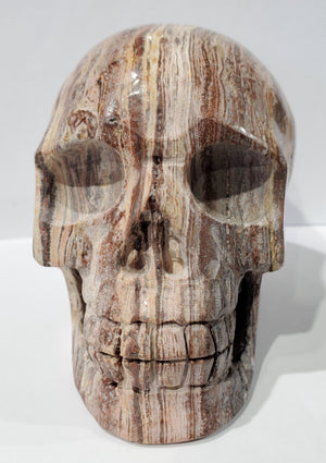 Santa Sophia Ryolite Skull