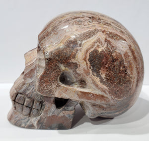 Santa Sophia Ryolite Skull