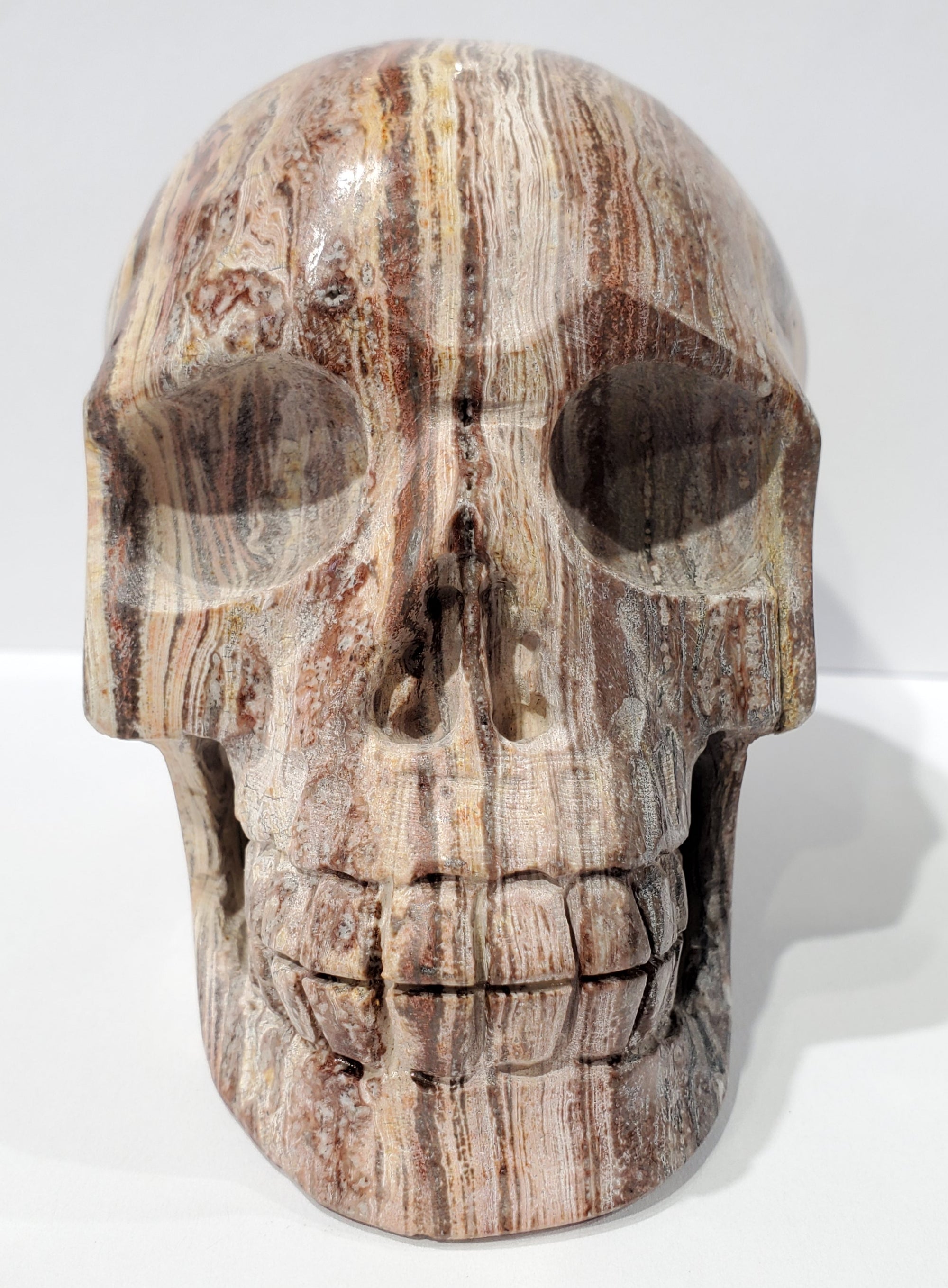 Santa Sophia Ryolite Skull