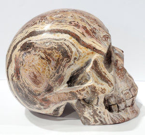 Santa Sophia Ryolite Skull