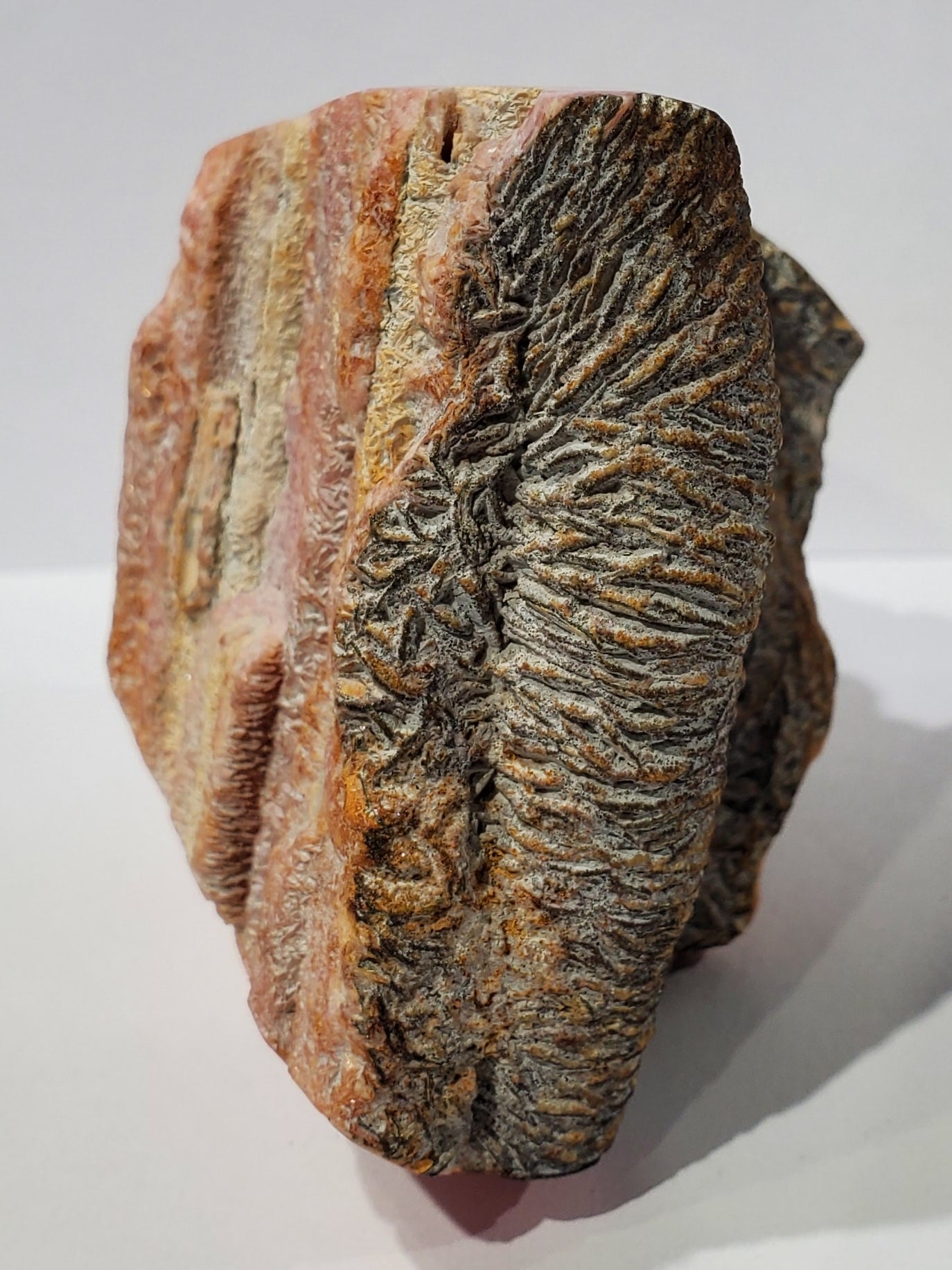Rhodochrosite Stalactite