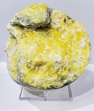 Sulphur Nodule