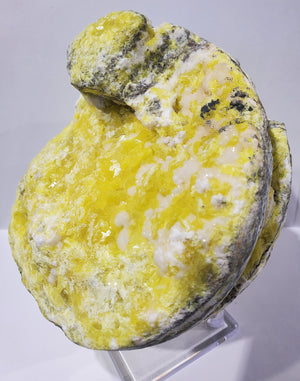 Sulphur Nodule