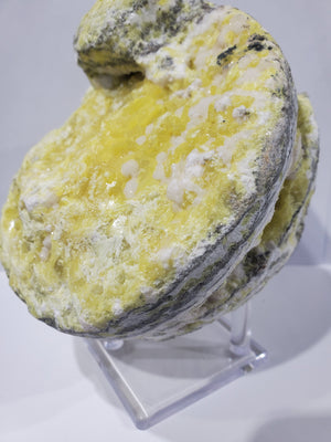 Sulphur Nodule