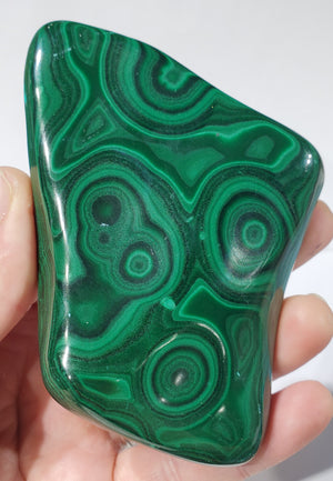 Polished Malachite, Congo