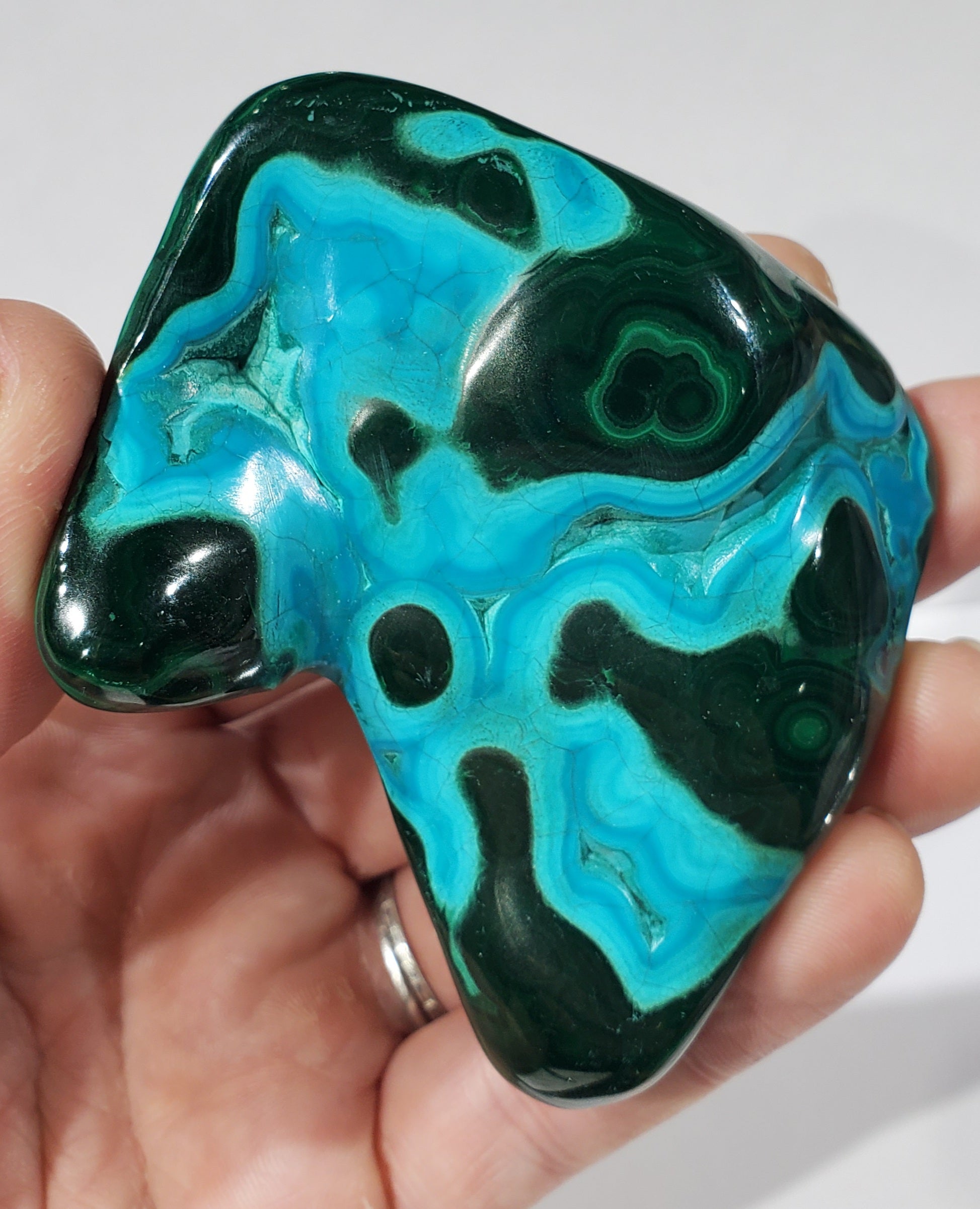 Polished Chrysocolla and Malachite, Congo