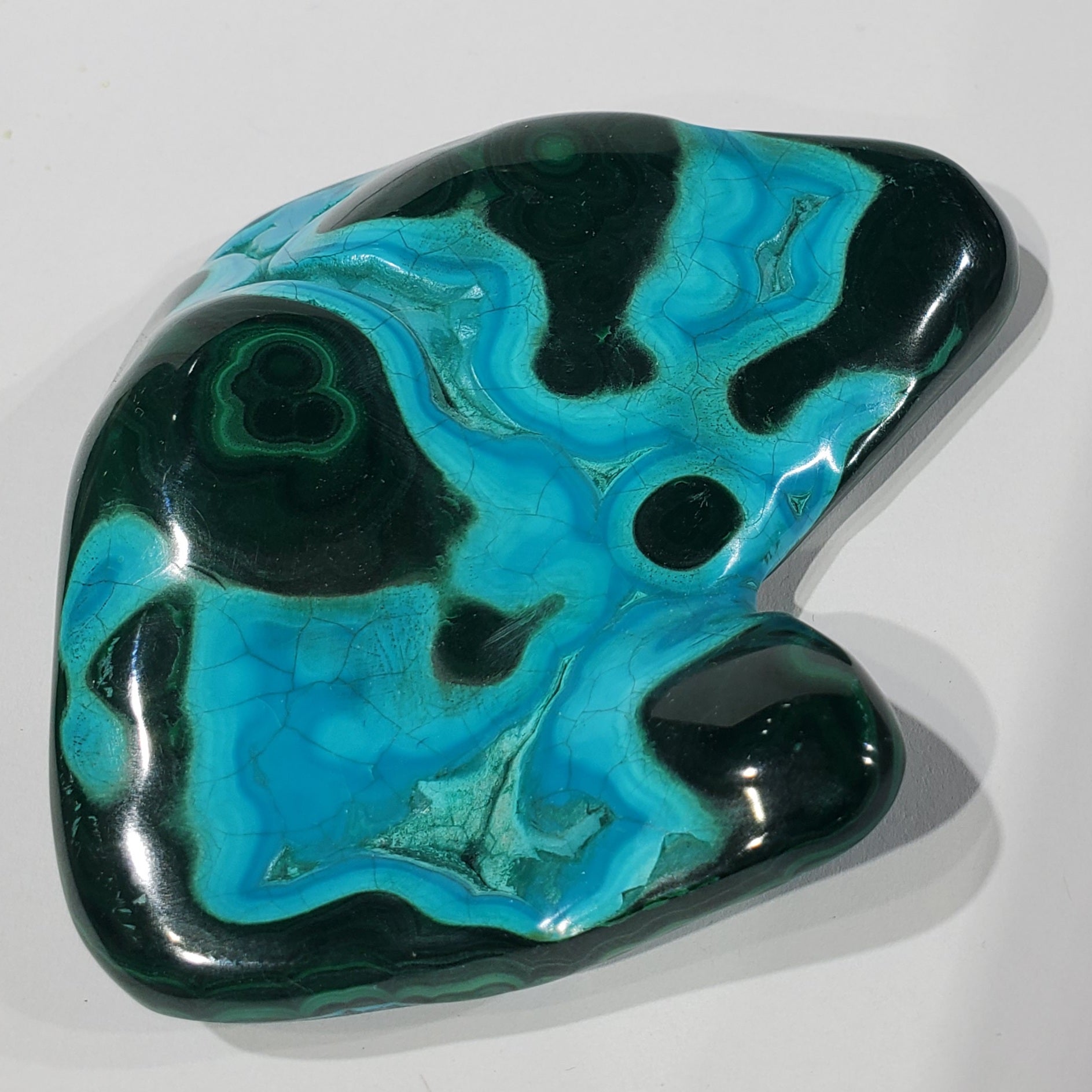 Polished Chrysocolla and Malachite, Congo