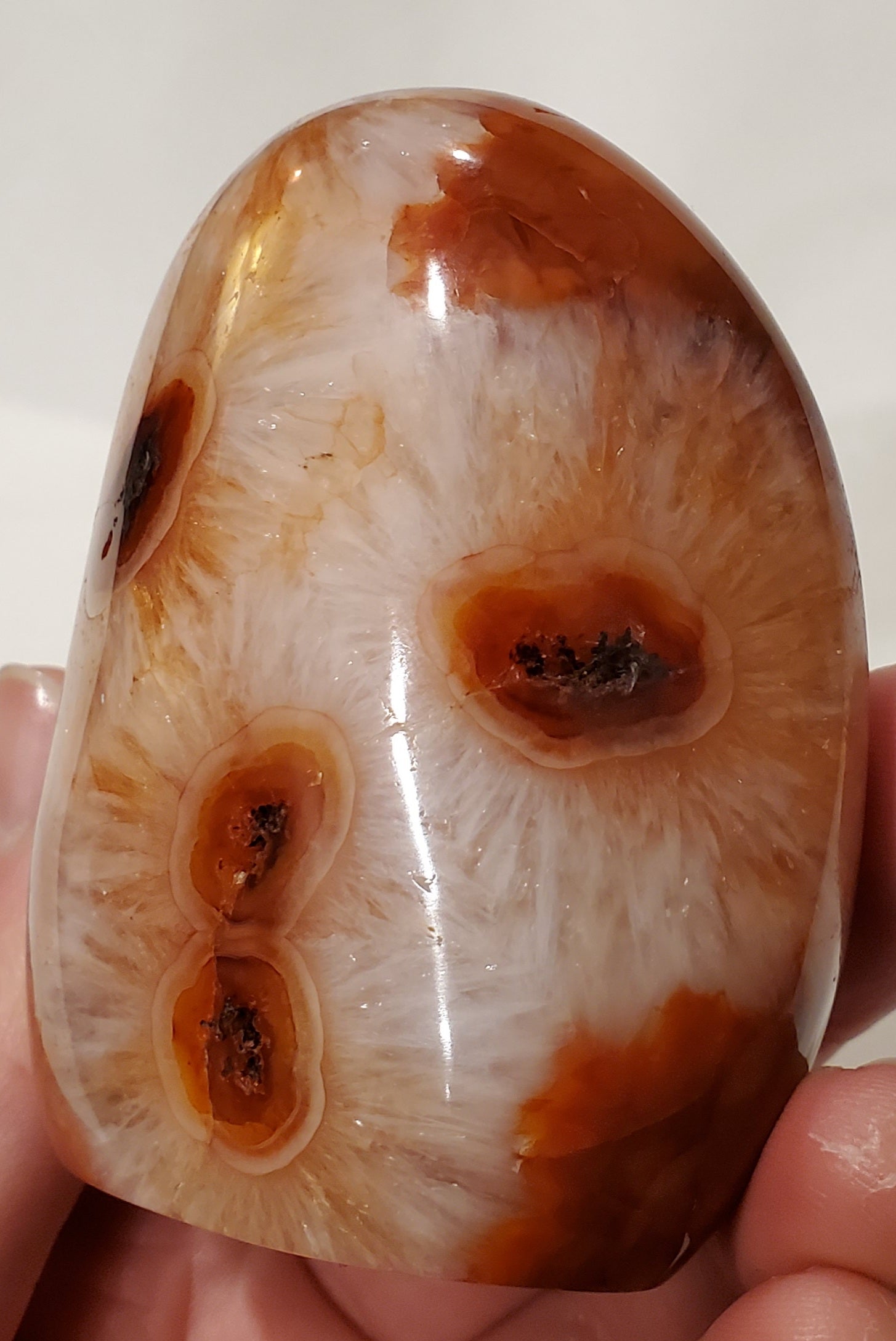 Carnelian Free Form, Madagascar