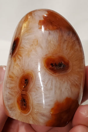 Carnelian Free Form, Madagascar