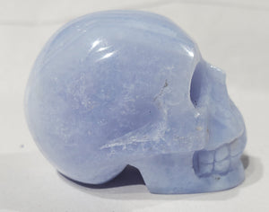 Blue Lace Agate Skull, Indonesia