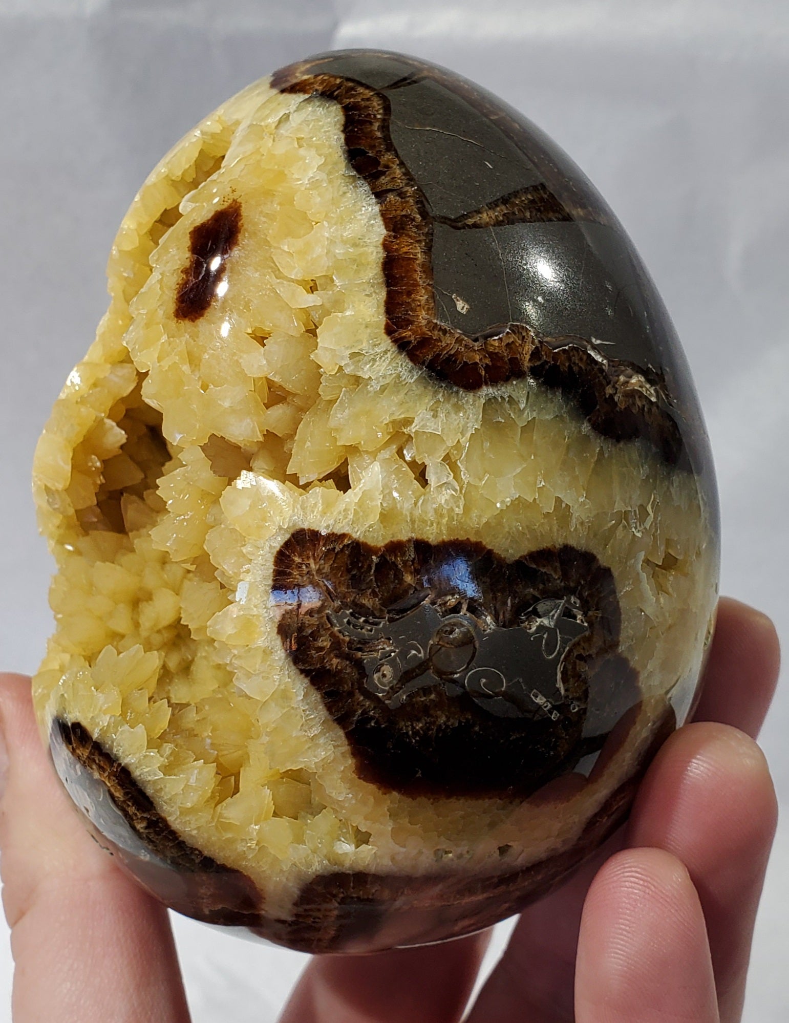 Septarian Egg, Utah