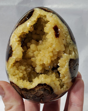 Septarian Egg, Utah