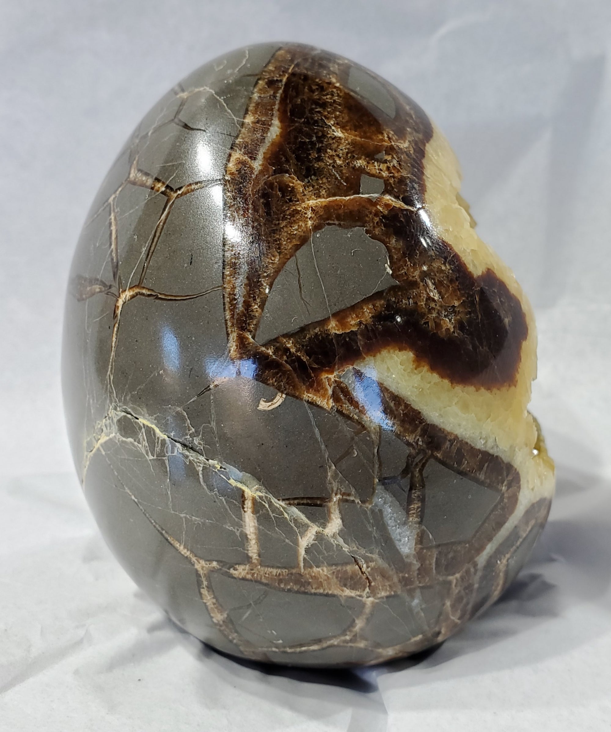 Septarian Egg, Utah
