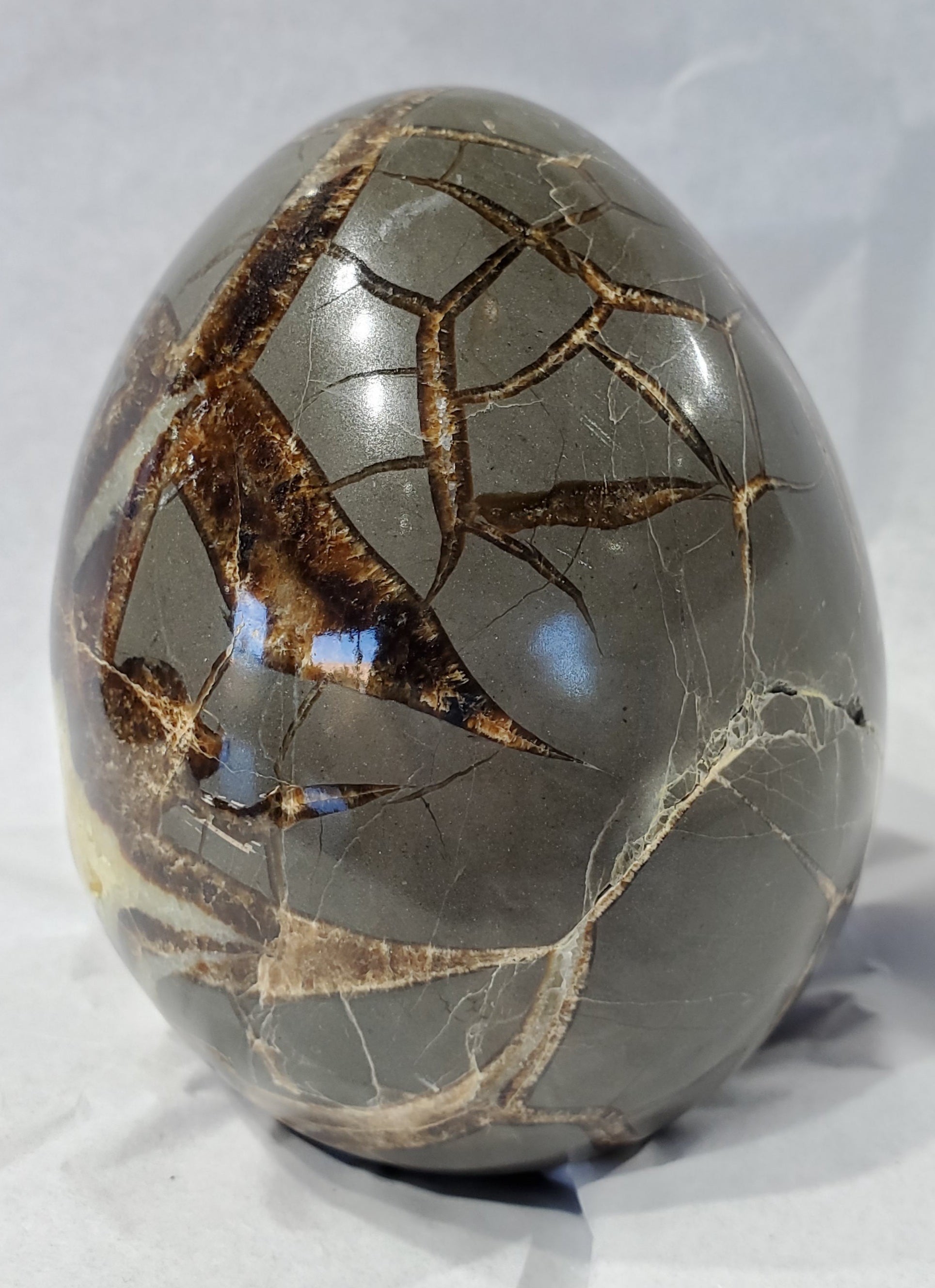 Septarian Egg, Utah