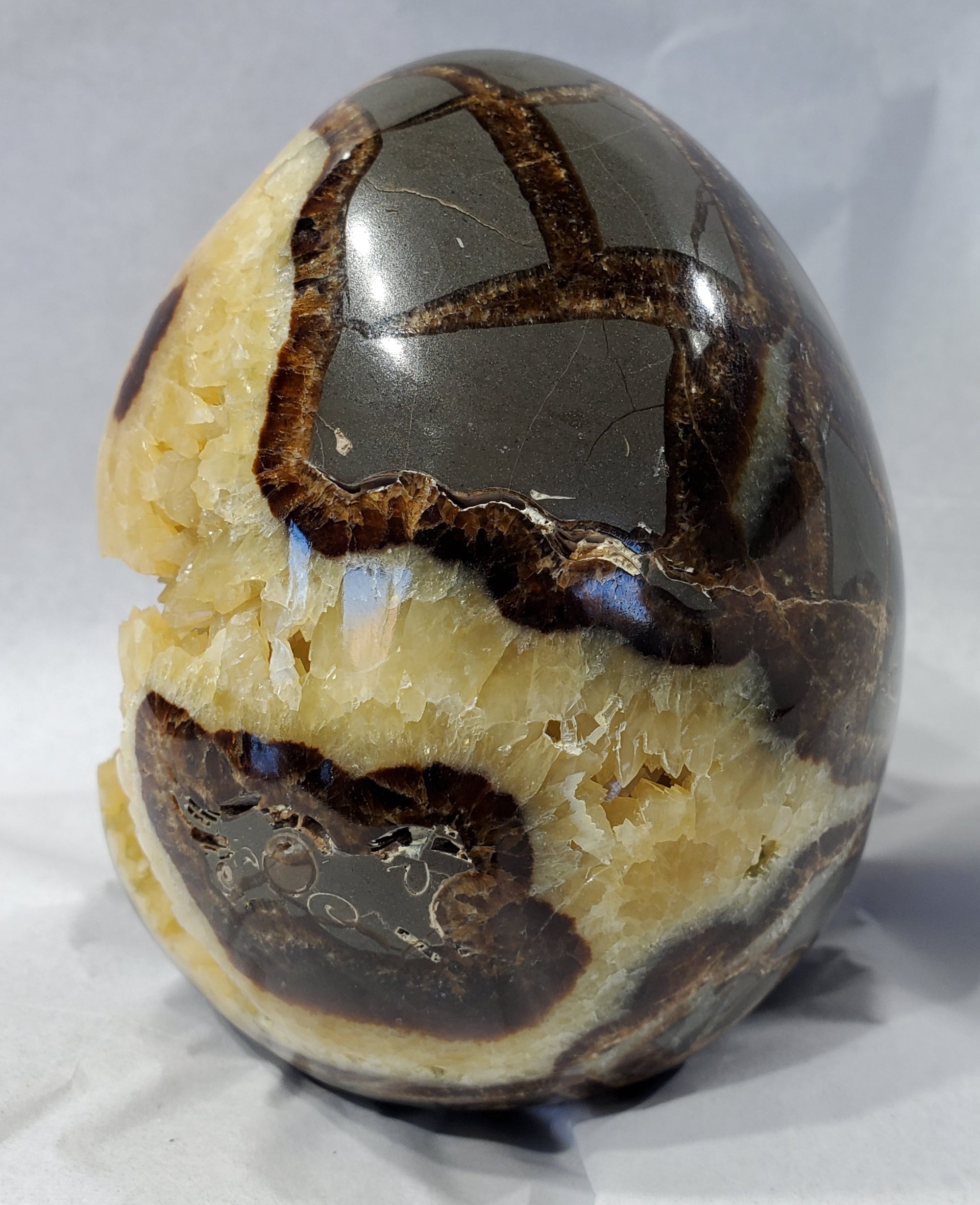 Septarian Egg, Utah