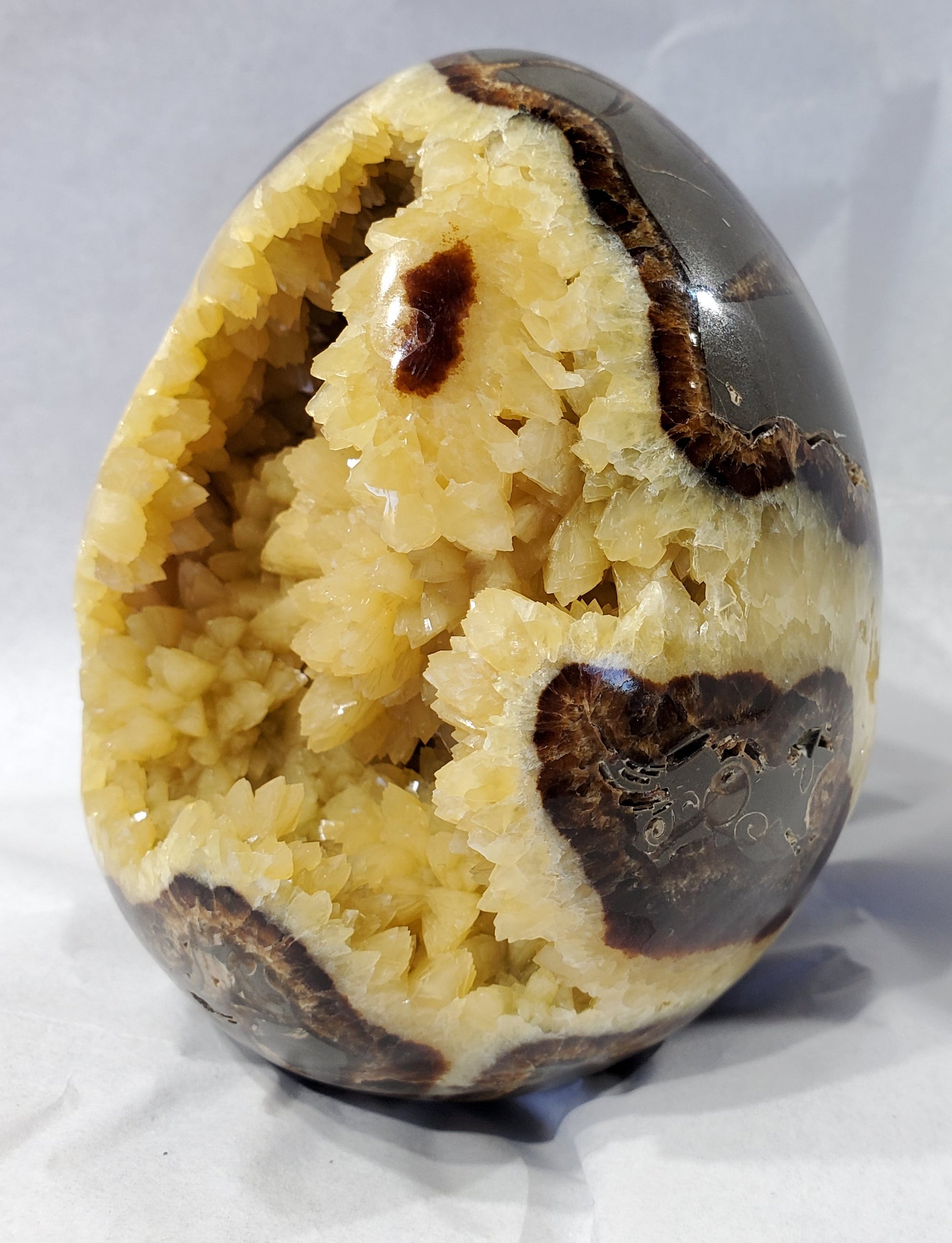 Septarian Egg, Utah