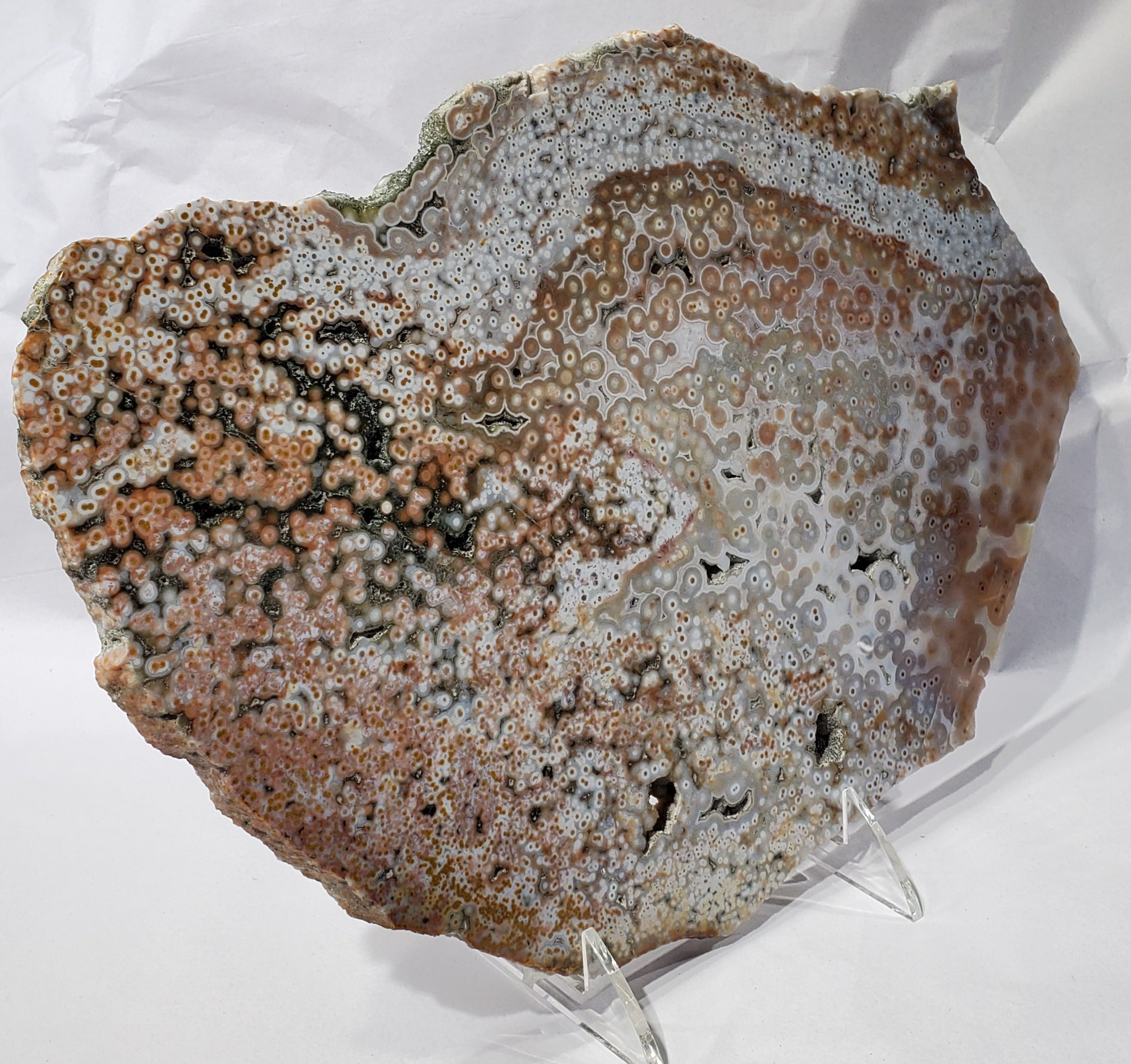 Ocean Jasper Slab, Madagascar