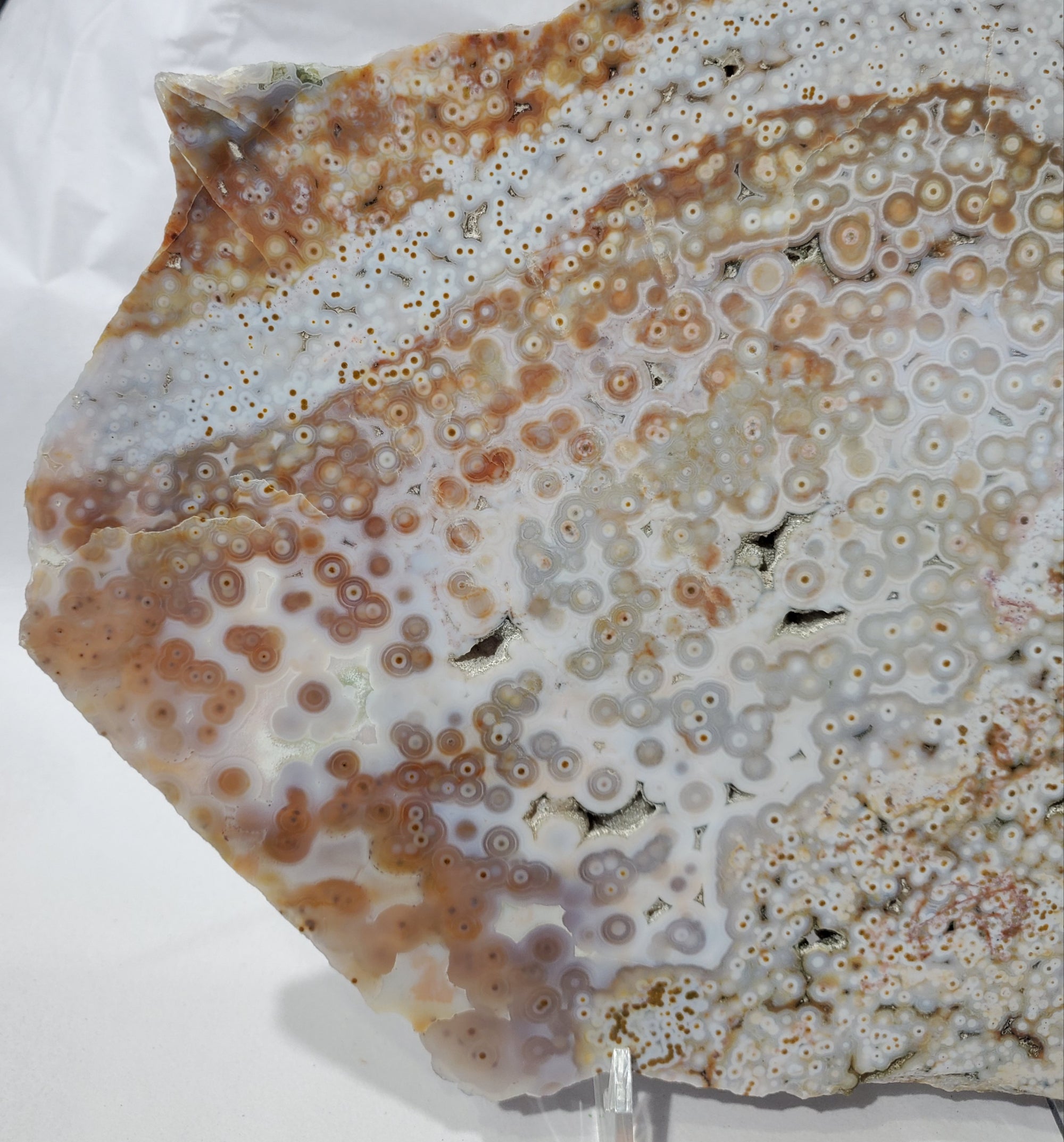 Ocean Jasper Slab, Madagascar