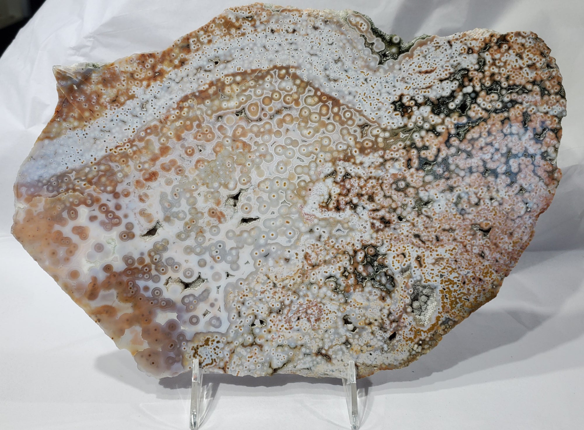 Ocean Jasper Slab, Madagascar