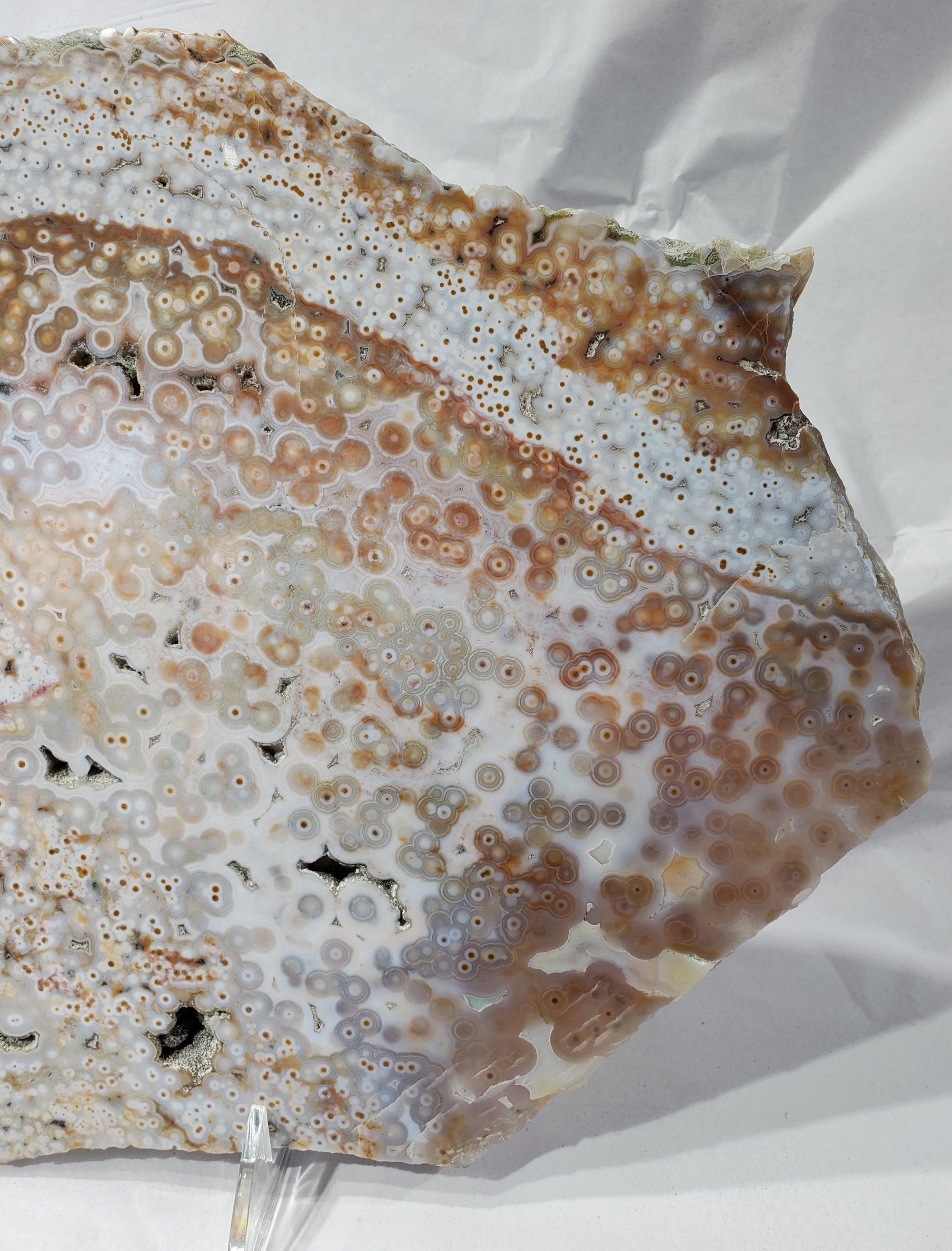 Ocean Jasper Slab, Madagascar