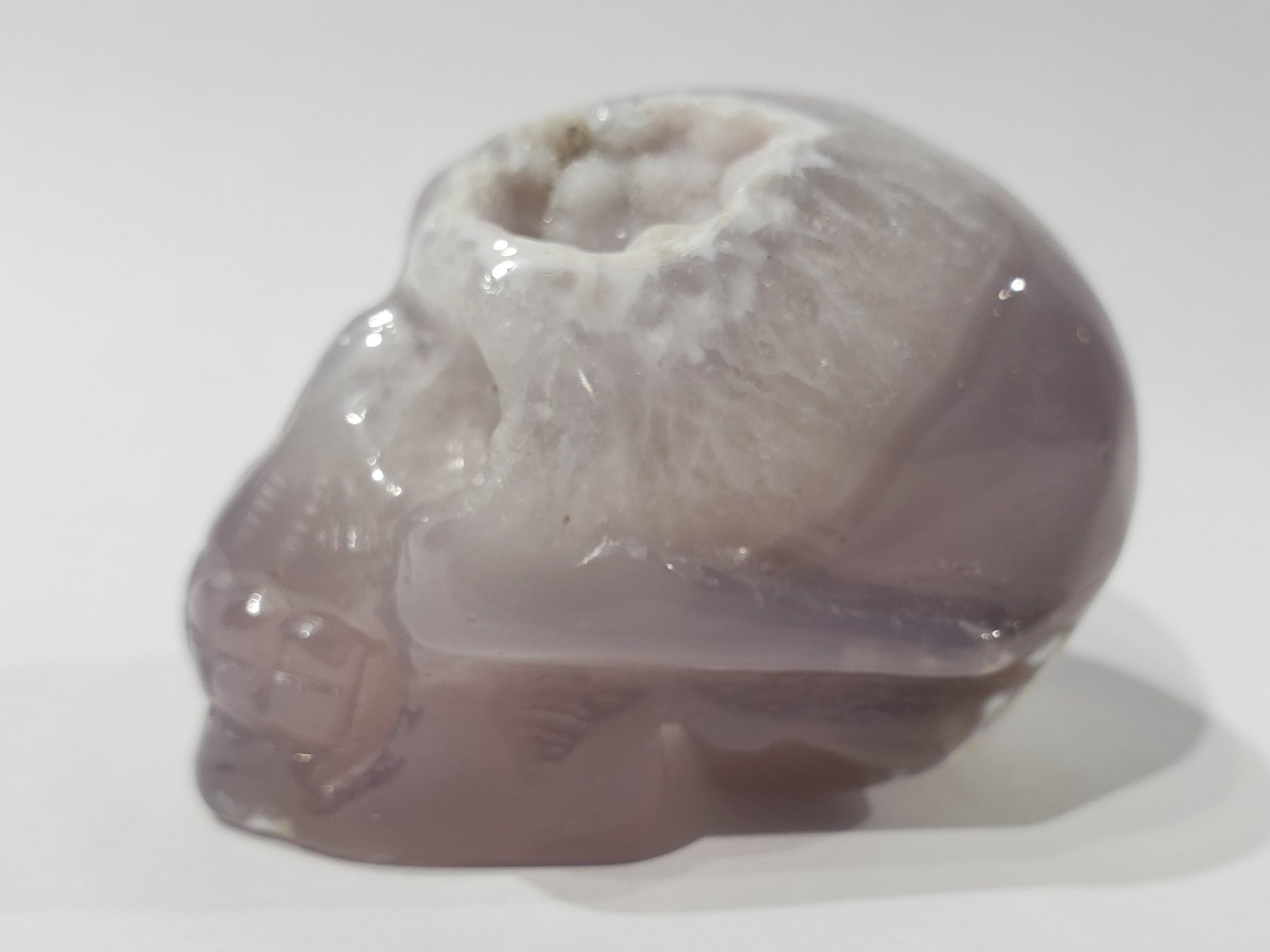 Agate Skull w/ Druzy Quartz