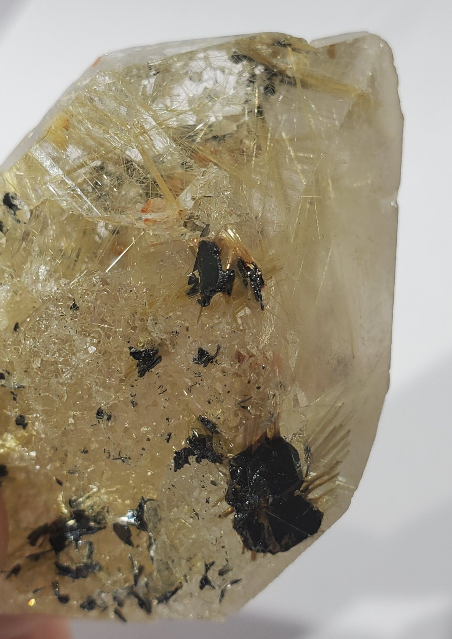 Double Terminated Rutilated Quartz w/ Hematite, Brasil