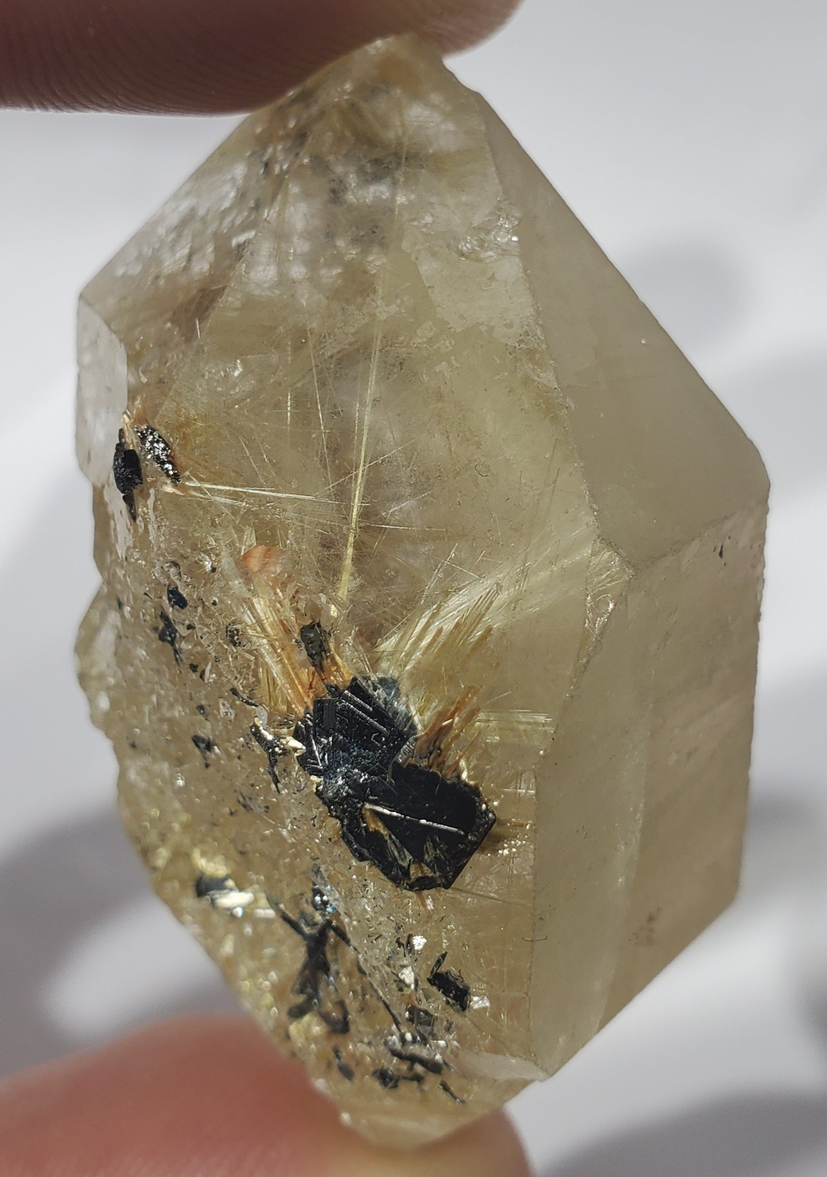 Double Terminated Rutilated Quartz w/ Hematite, Brasil