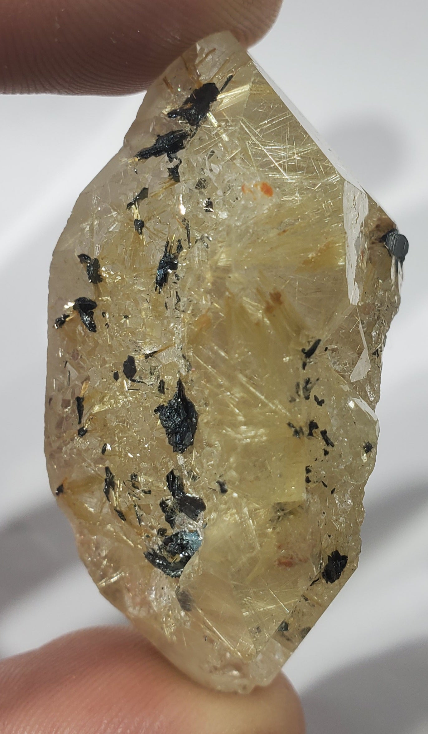 Double Terminated Rutilated Quartz w/ Hematite, Brasil