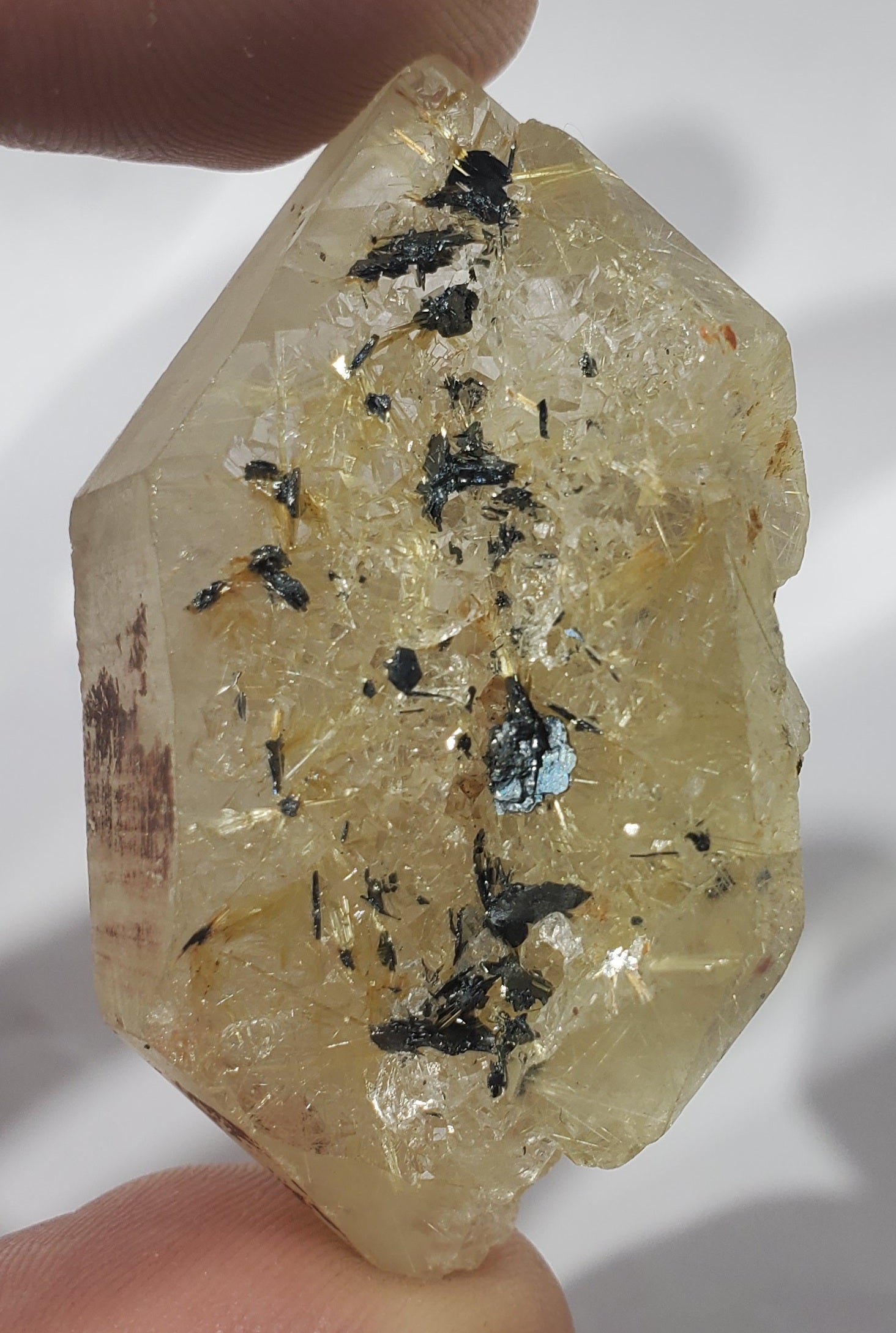 Double Terminated Rutilated Quartz w/ Hematite, Brasil