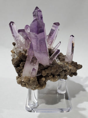 Vera Cruz Amethyst on Calcite