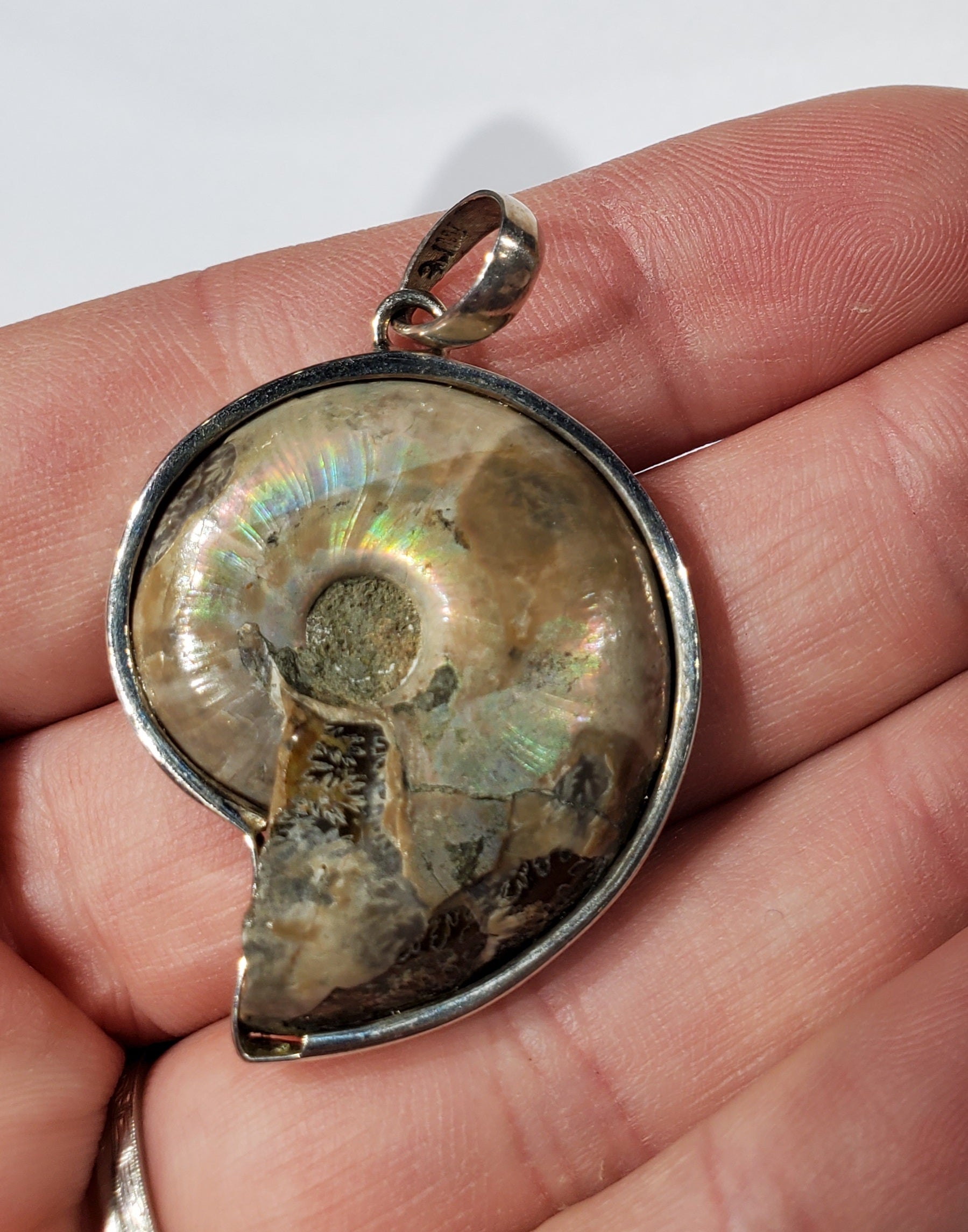 Ammonite Pendant