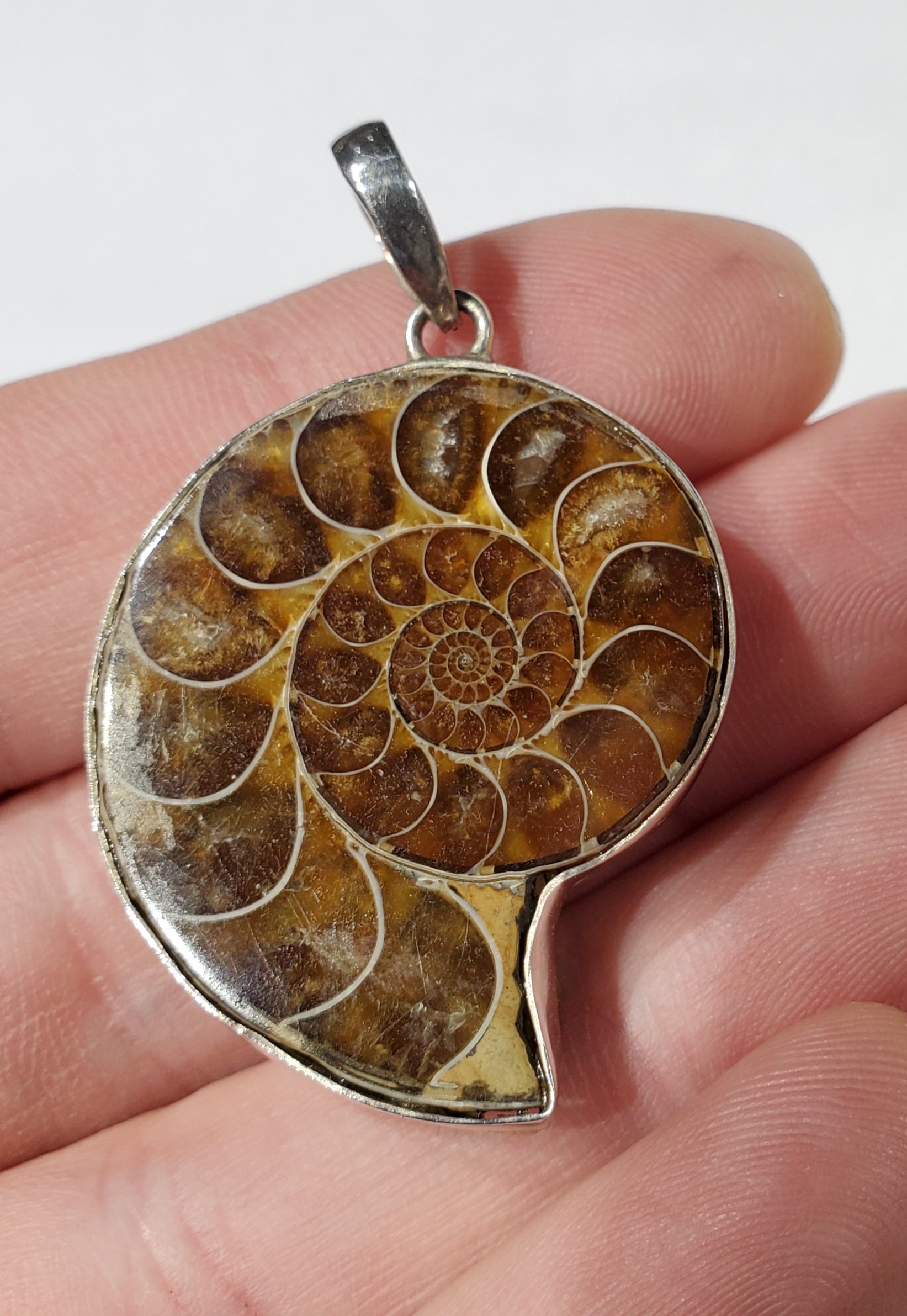 Ammonite Pendant