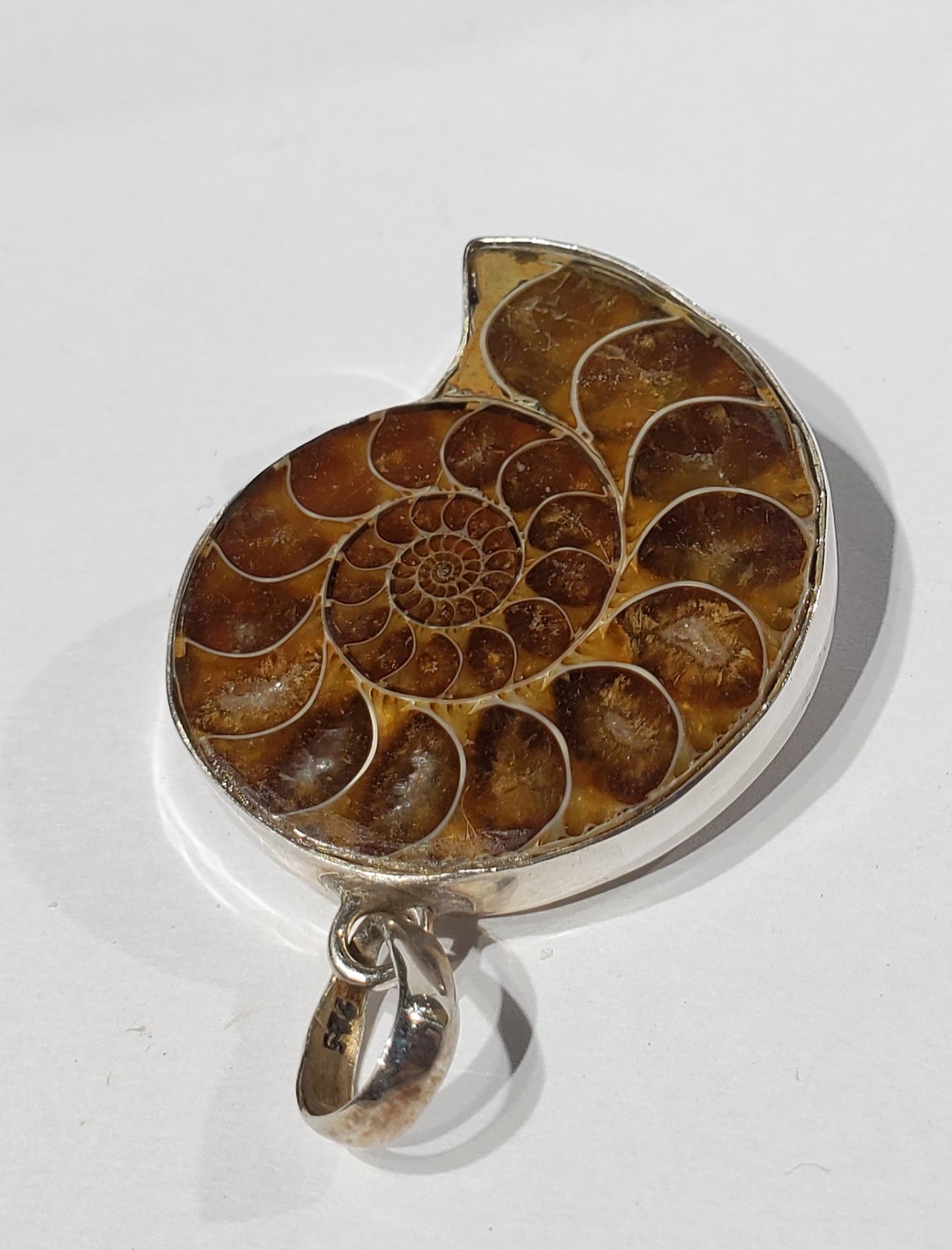 Ammonite Pendant