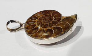 Ammonite Pendant