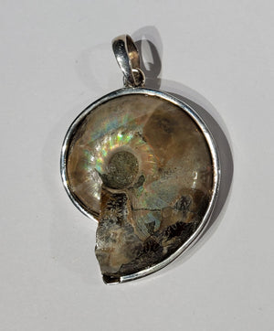 Ammonite Pendant