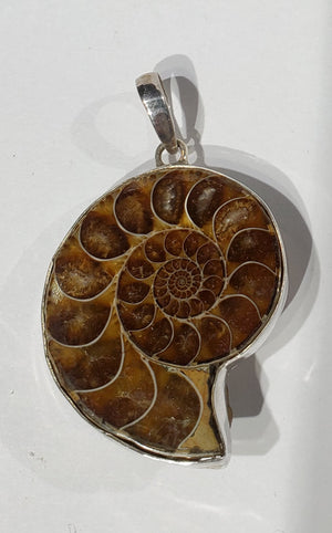 Ammonite Pendant