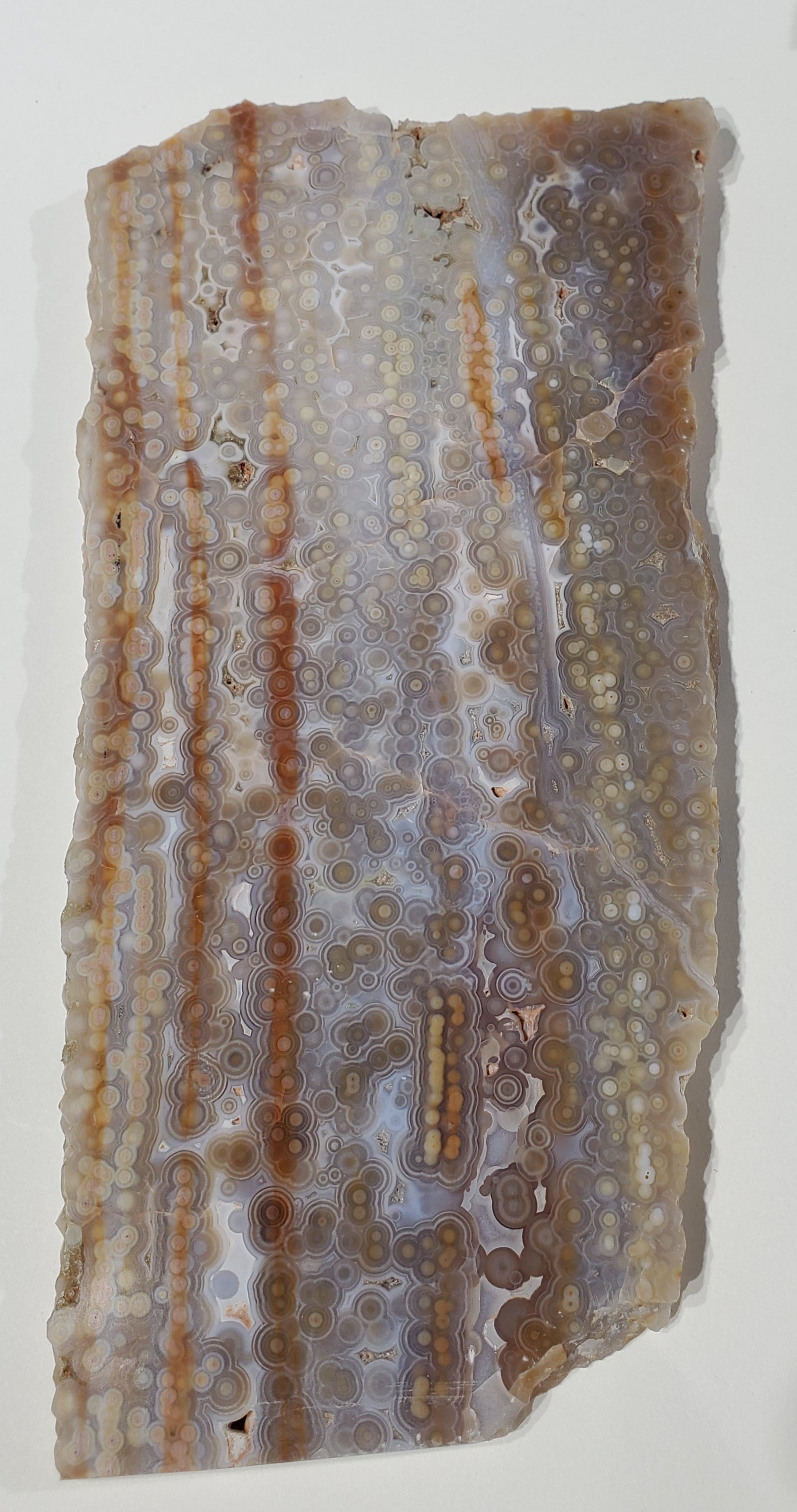 Ocean Jasper Slab, Madagascar