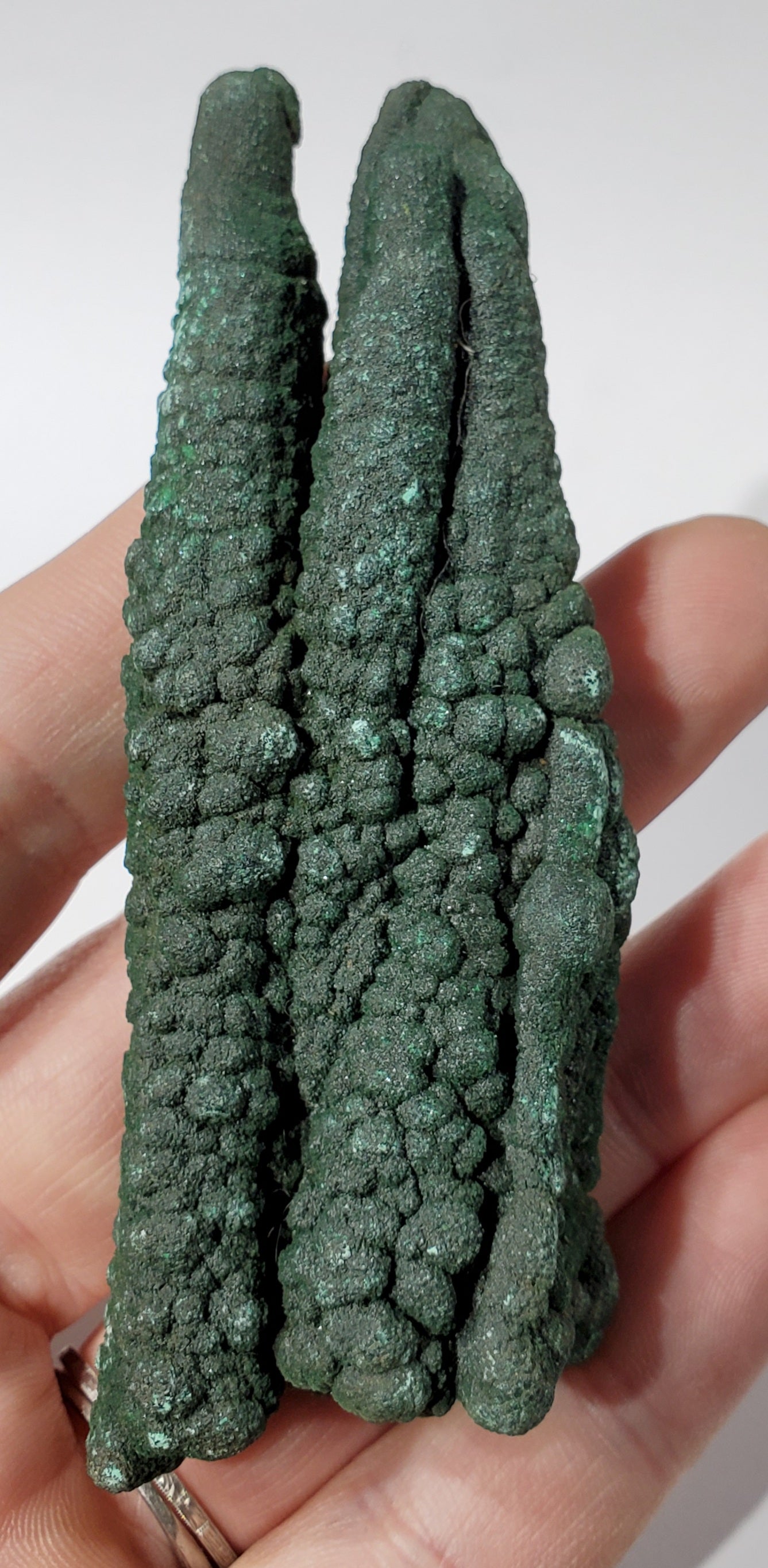 Malachite Stalactite, Congo